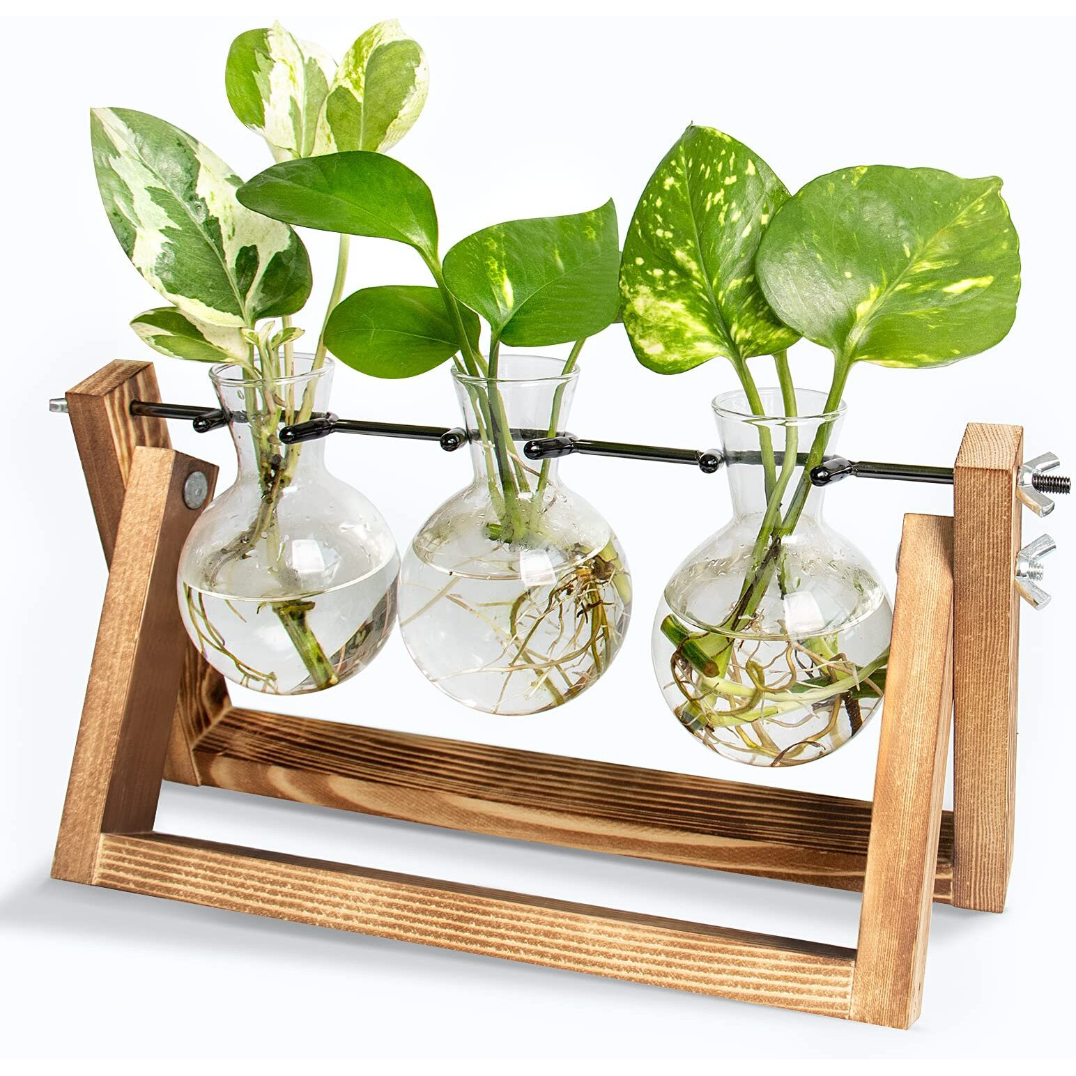 Ivolador Desktop Propagation Station, Bulb Plant Terrarium With Retro Solid Wooden Stand And Metal Swivel Holder For Hydroponics Plants Home Garden Wedding Decor (3 Bulb-C Type)