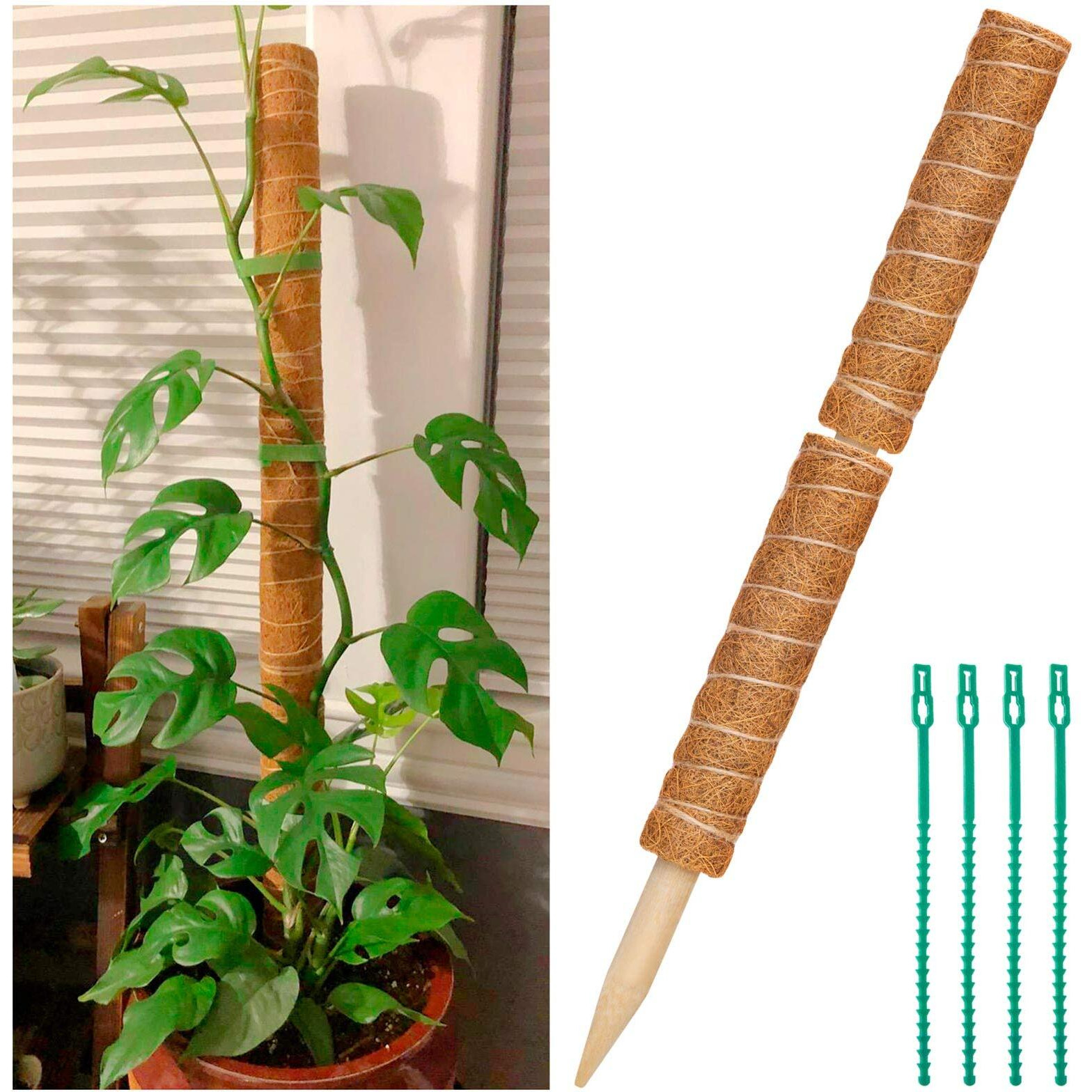 2 Pcs 12 Inches Coir Moss Poles For Climbing Plants With 4 Pcs Adjustable Plant Twist Ties - Coir Moss Totem Stick For Creepers Plant Support Extension, Climbing Indoor Plants(Total 20 Inch)