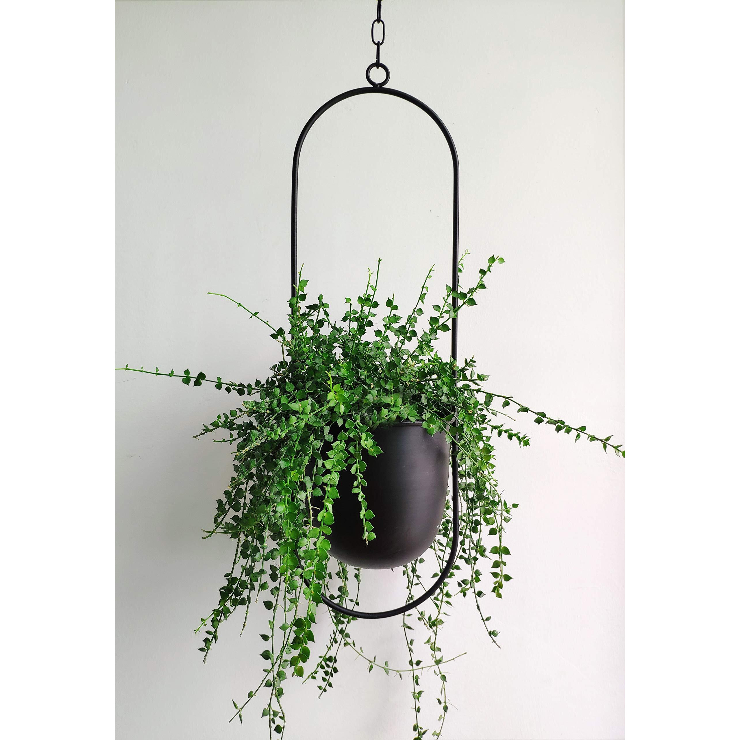 Riseon Boho Black Metal Plant Hanger,Metal Wall And Ceiling Hanging Planter, Modern Planter, Mid Century Flower Pot Plant Holder, Minimalist Planter For Indoor Outdoor Home Decor