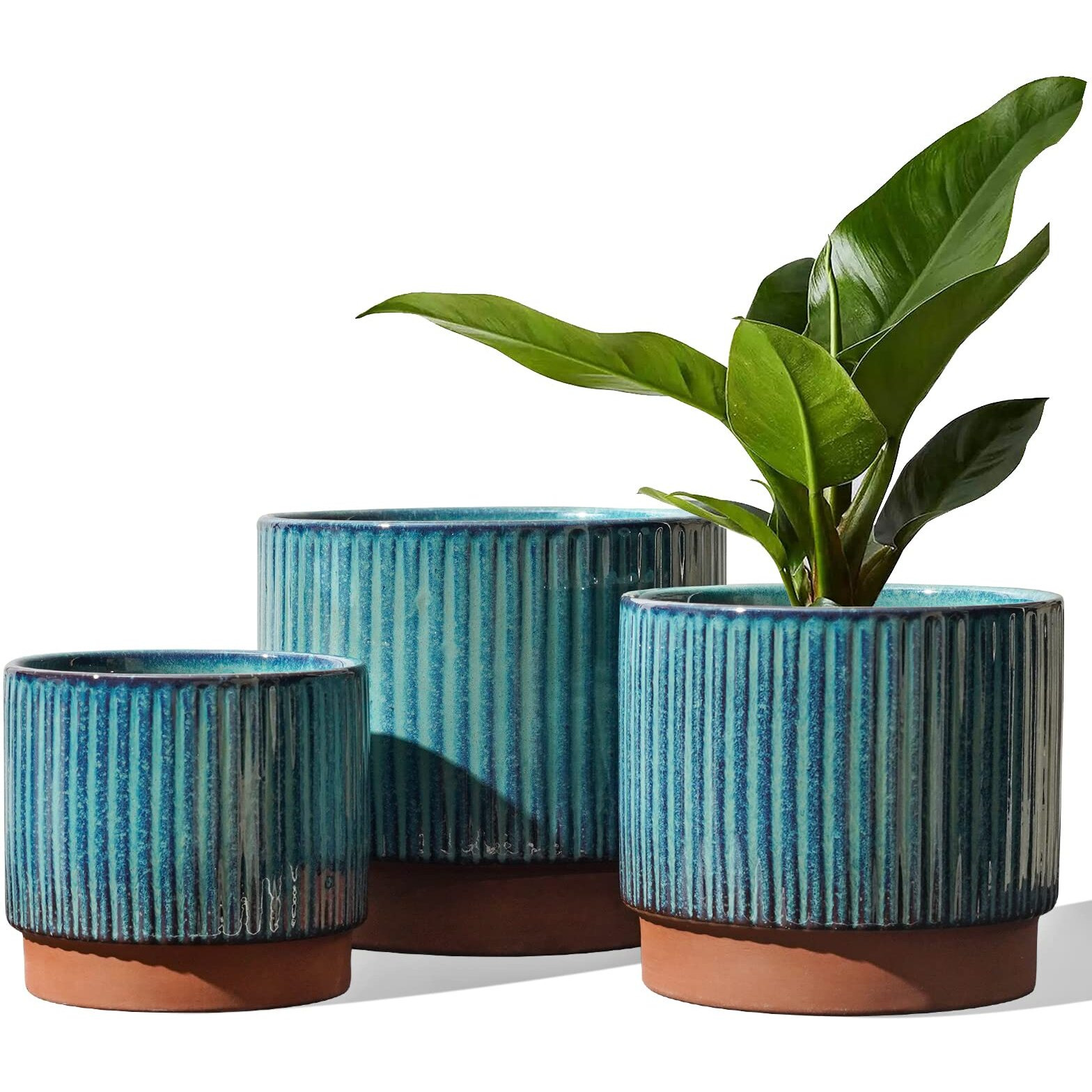 Le Tauci Ceramic Plant Pots With Drainage Holes, Set Of 3, 8+6.5+5.5 Inch Stripe Garden Planter Pots For Outdoor Indoor Plants Flower, Round Succulent Orchid Flower Pot Small To Large Size, Green