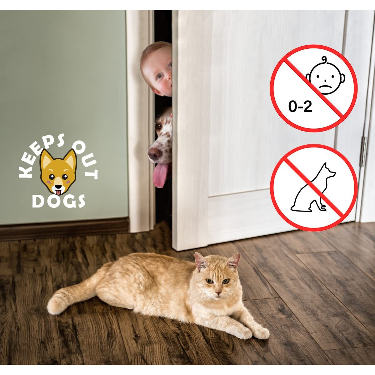 Elilier Cat Door Latch Holder,8 Adjustable Sizes Stronger Flex Cat Door Stopper, Keep Door Open 1.5" To 8", Let's Cats In And Keeps Dogs Out Of Litter & Food, No Tool Required & No Wall Damage