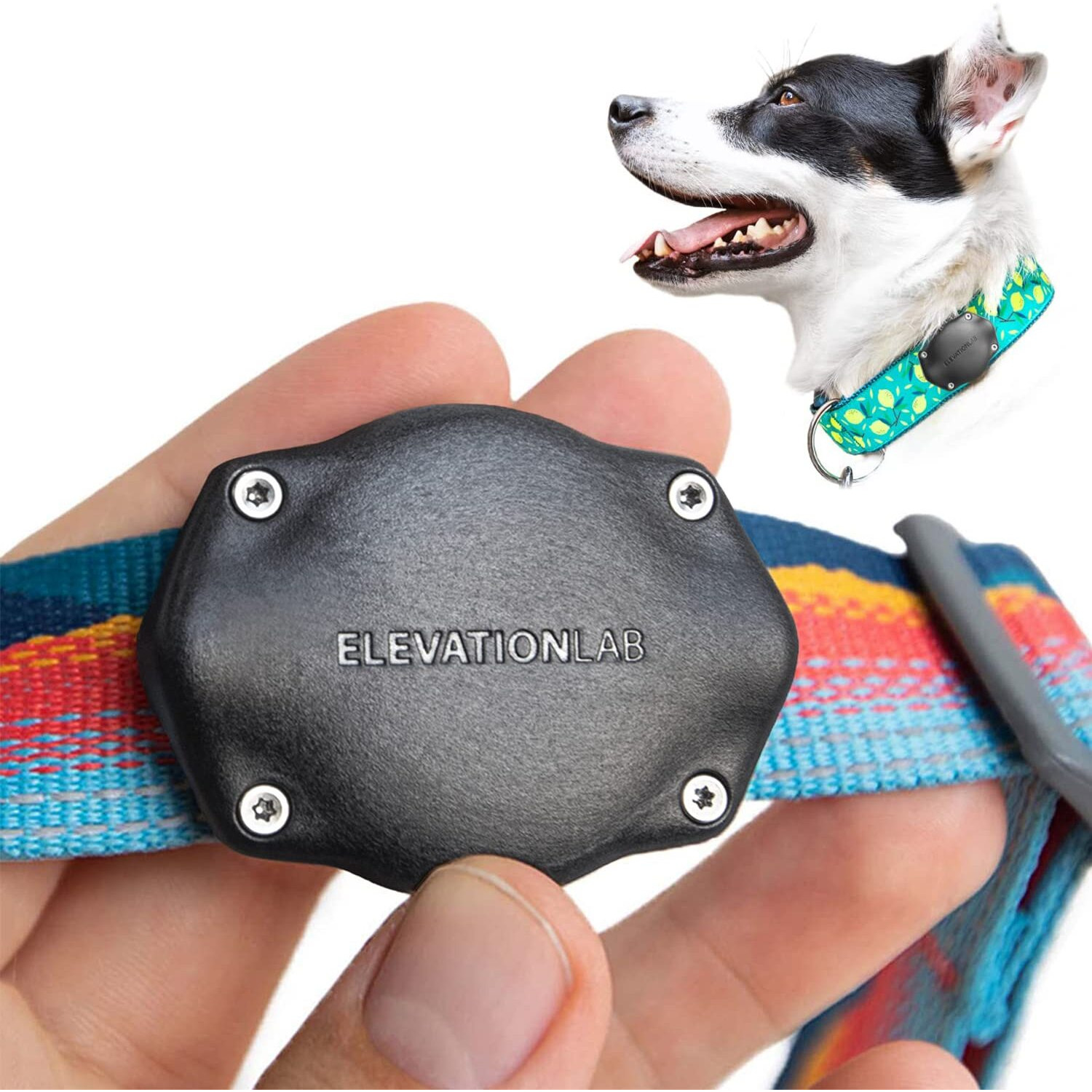 Elevation Lab Tagvault Pet - The Most Secure Airtag Dog Collar Mount  Ip68 Waterproof, Fits All Width Collars