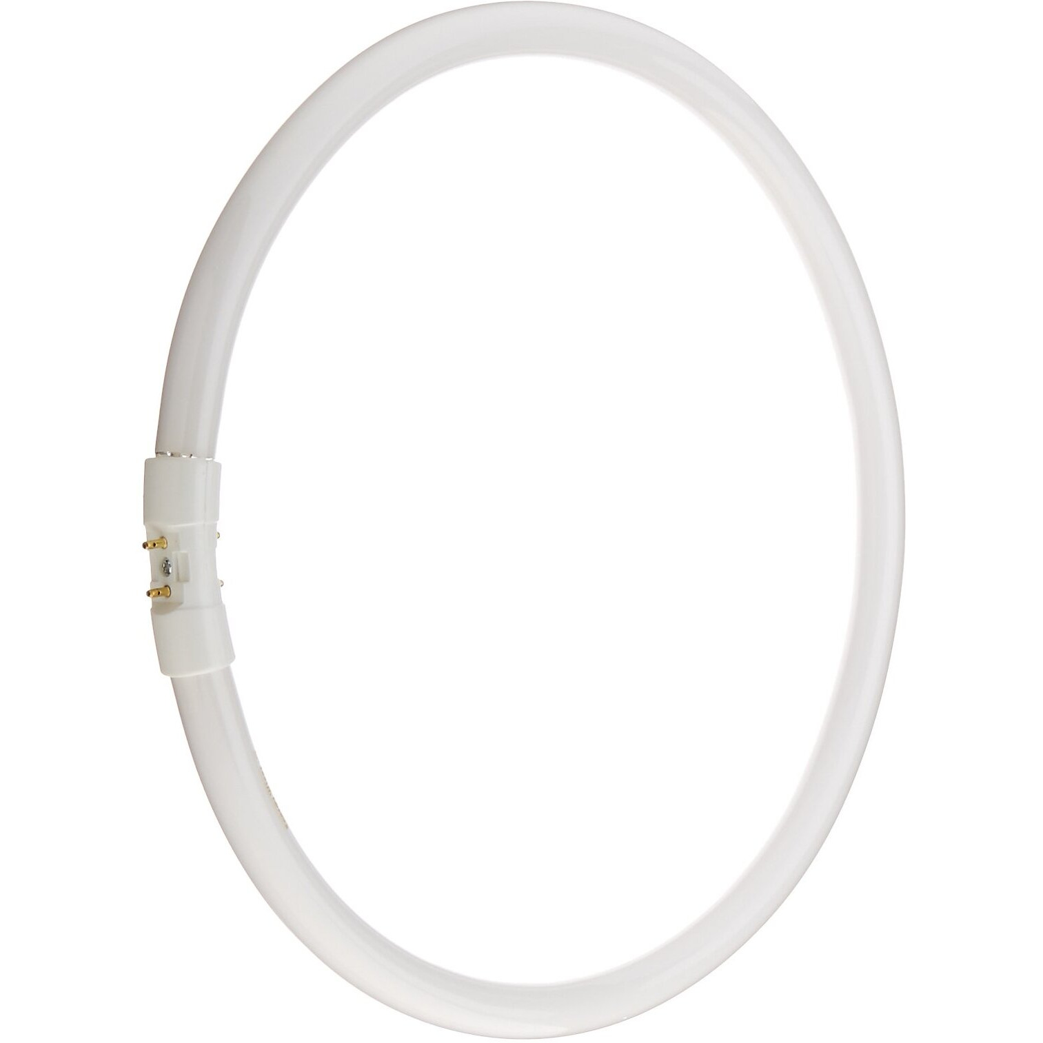 Bulbrite Fc12T5 841 12-Watt Circline Fluorescent T5 Bulb, 800 Series, 4100-Kelvin, 2Gx13 Base, 12-Inch Diameter