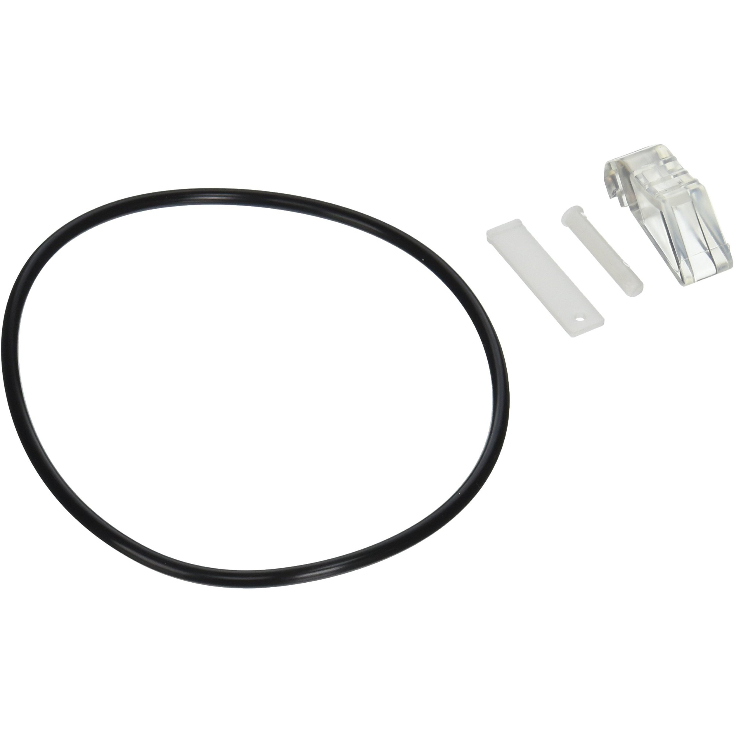 Pentair R211600 Latch And O-Ring Kit Assembly Replacement Pool And Spa Safety Equipment