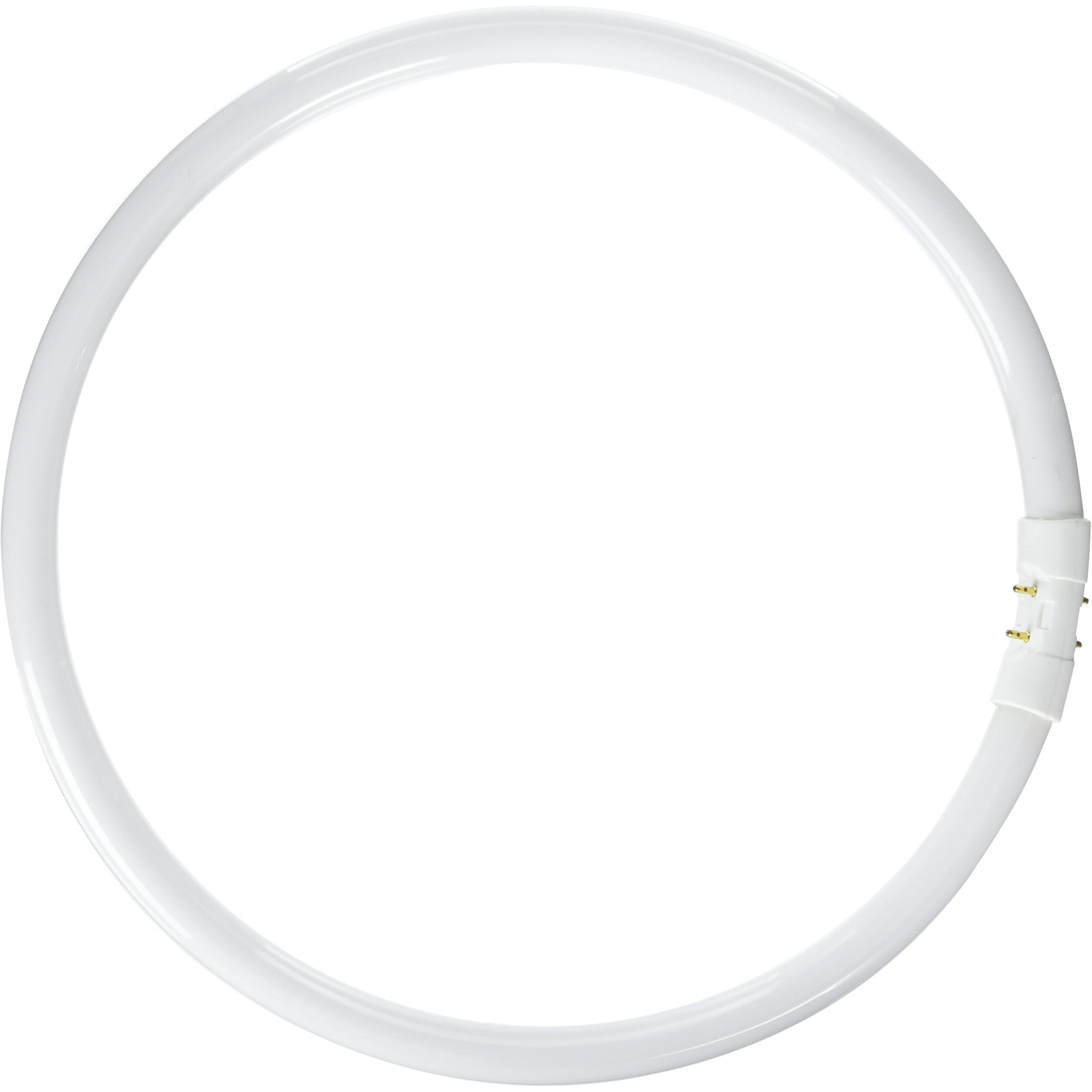 Prolume Bc9276 109084 - Fc40T5/835 Circular T5 Fluorescent Tube Light Bulb