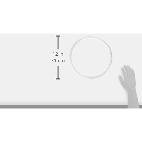 Prolume Bc9276 109084 - Fc40T5/835 Circular T5 Fluorescent Tube Light Bulb