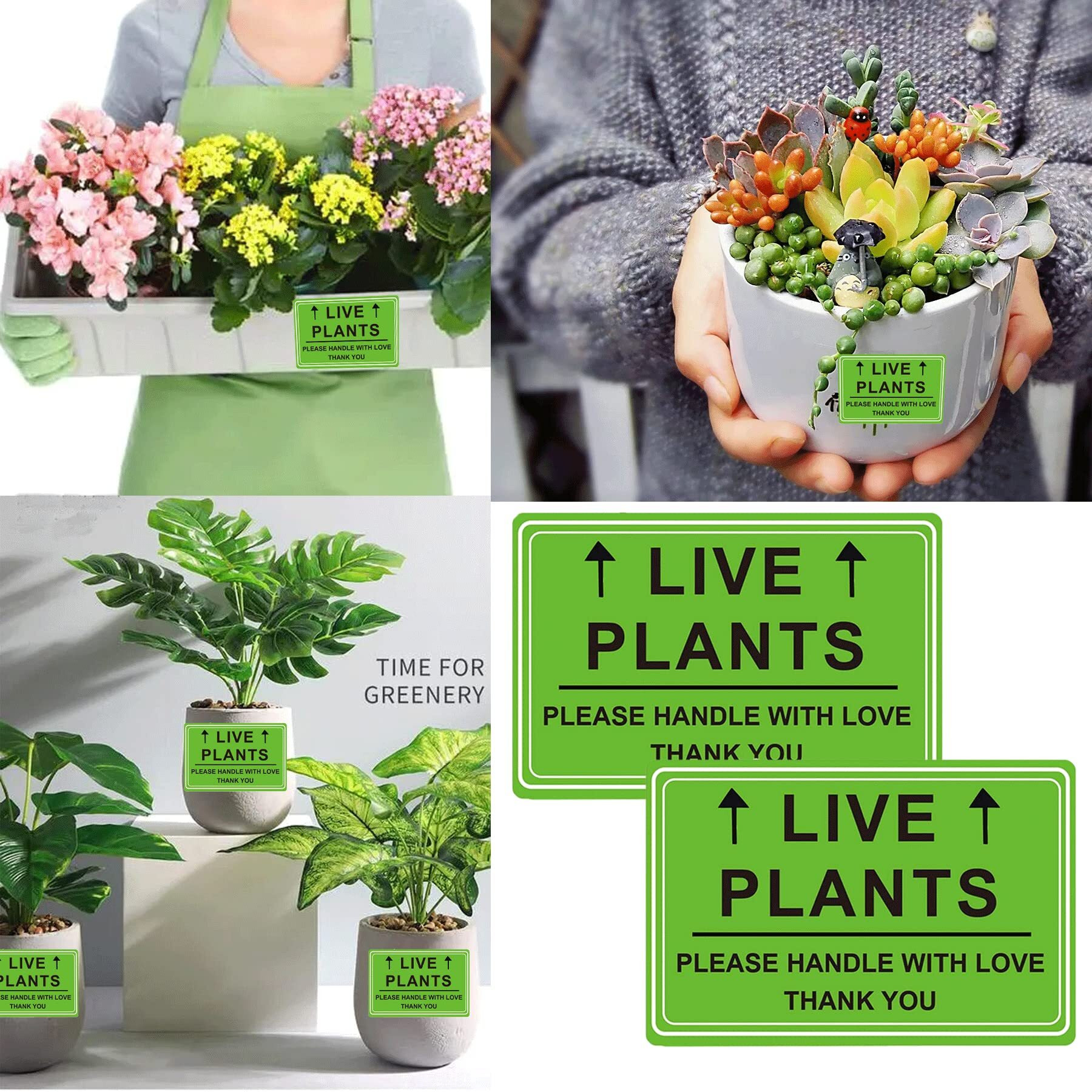 Green Live Plants Stickers For Shipping 2X3 Inch Please Handle With Love Stickers Fragile Shipping Labels For Warehouse Pallet Garden Centers,Landscaping,Nurseries 250Pcs Live Plants Stickers Per Roll
