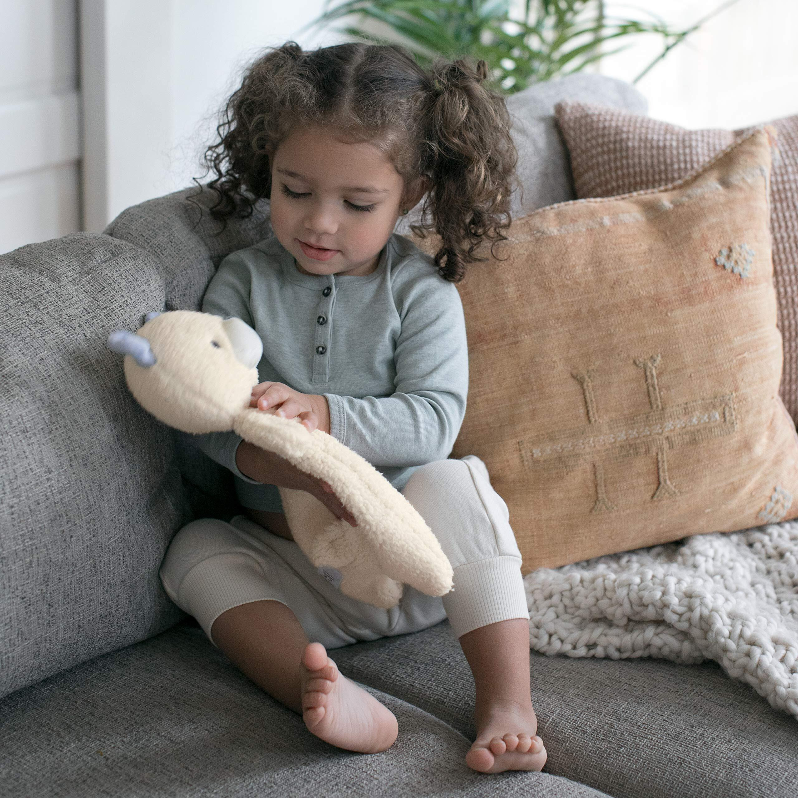 Ingenuity Premium Soft Mini Bean Bag Plush, Nate The Teddy Bear, Ages Newborn And Up.
