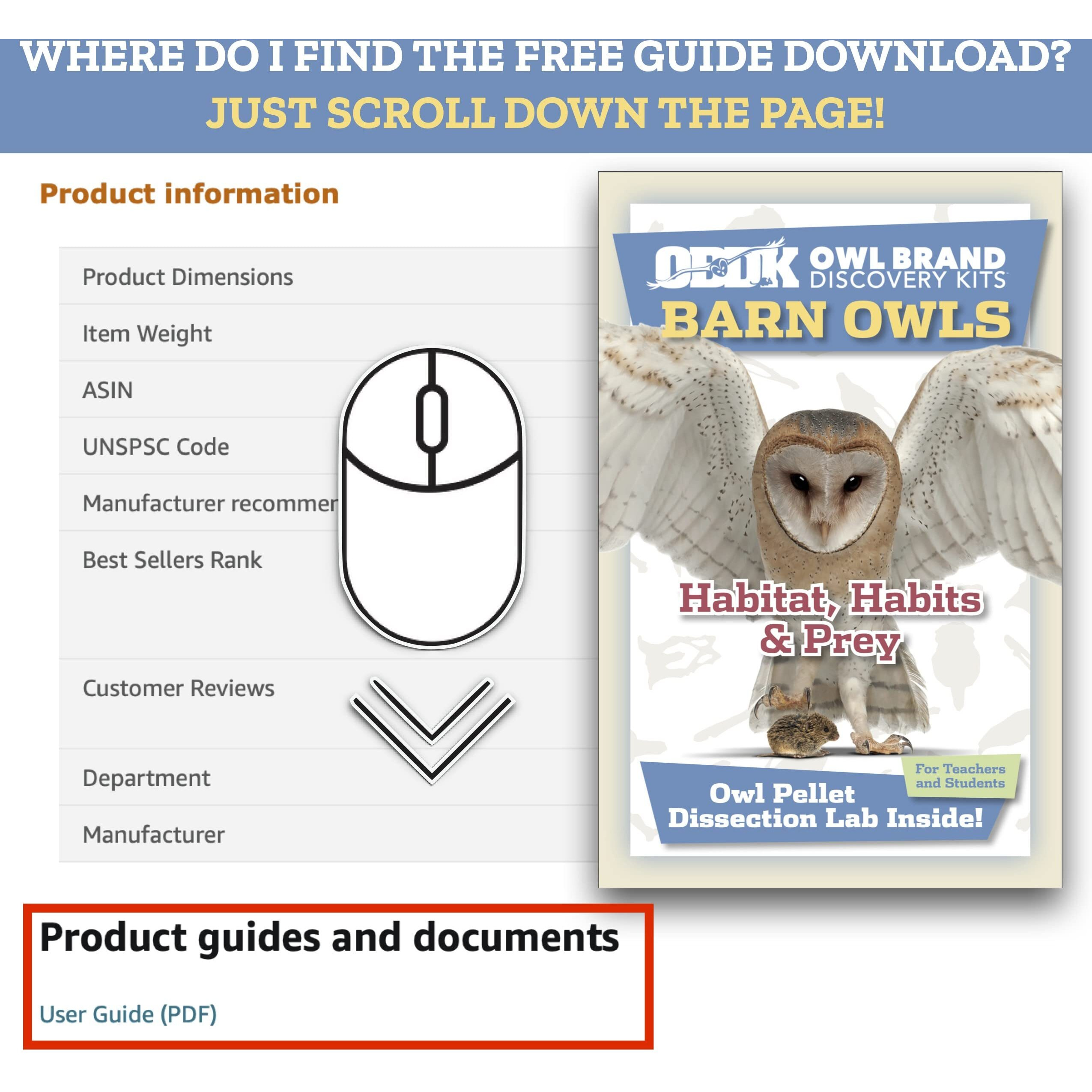 Barn Owl Pellet (Medium 1.5-2.0") 1 Pack Kit For Science Teachers And Kids And Students Includes Tools & Chart