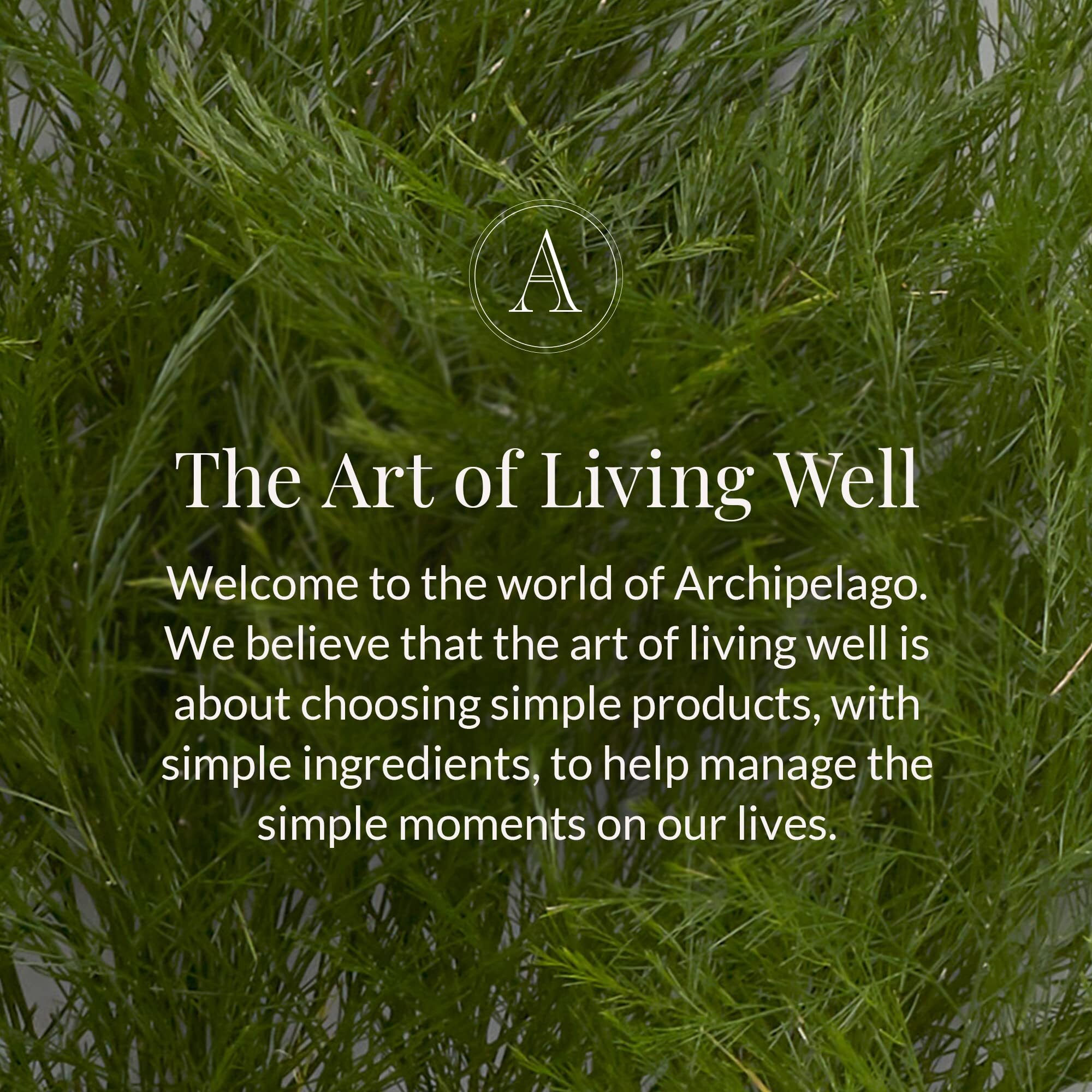 Archipelago Botanicals Black Forest Diffuser Oil Refill | Dark Ebony Wood, Douglas Fir And Black Currant (7.85 Fl Oz)