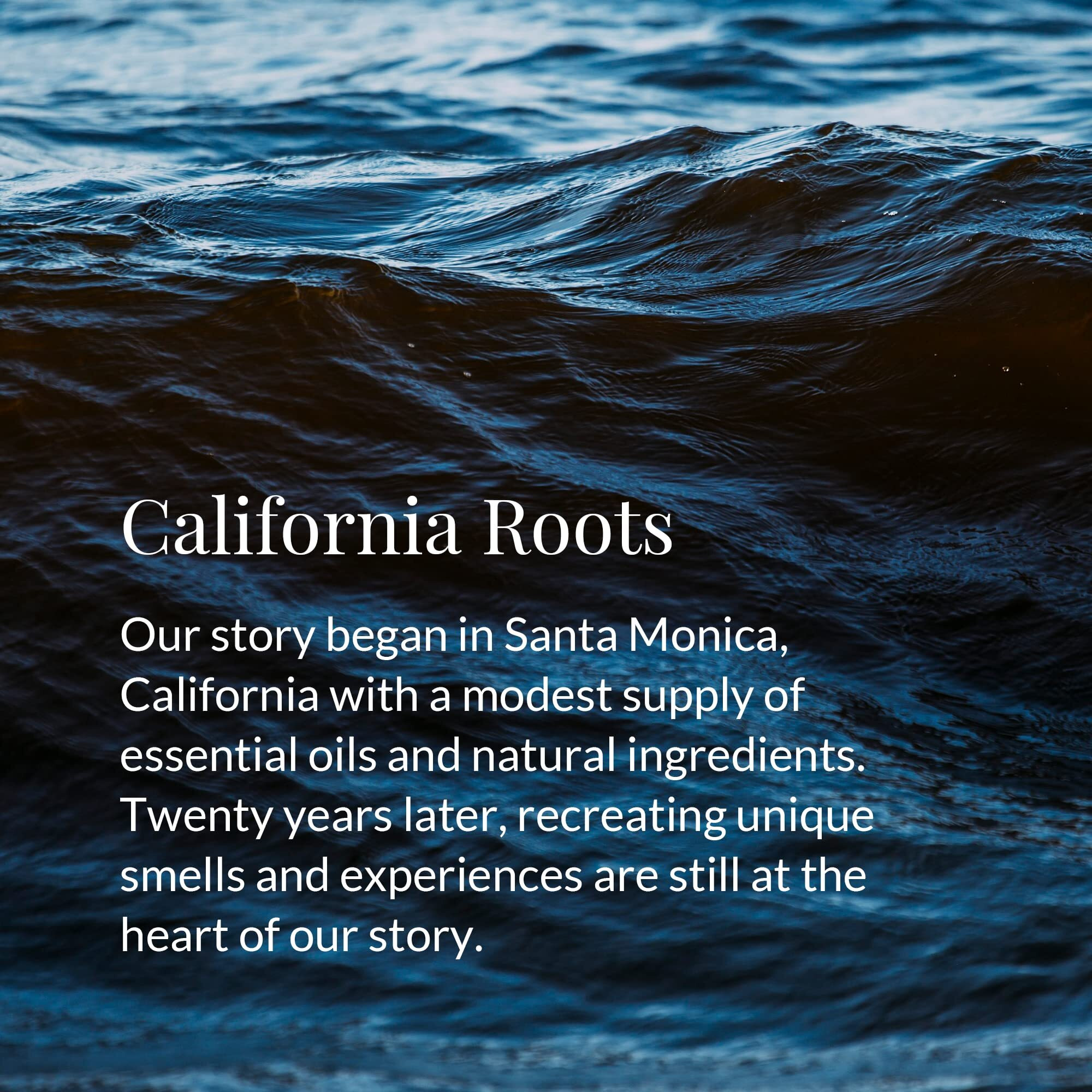 Archipelago Botanicals Black Forest Diffuser Oil Refill | Dark Ebony Wood, Douglas Fir And Black Currant (7.85 Fl Oz)