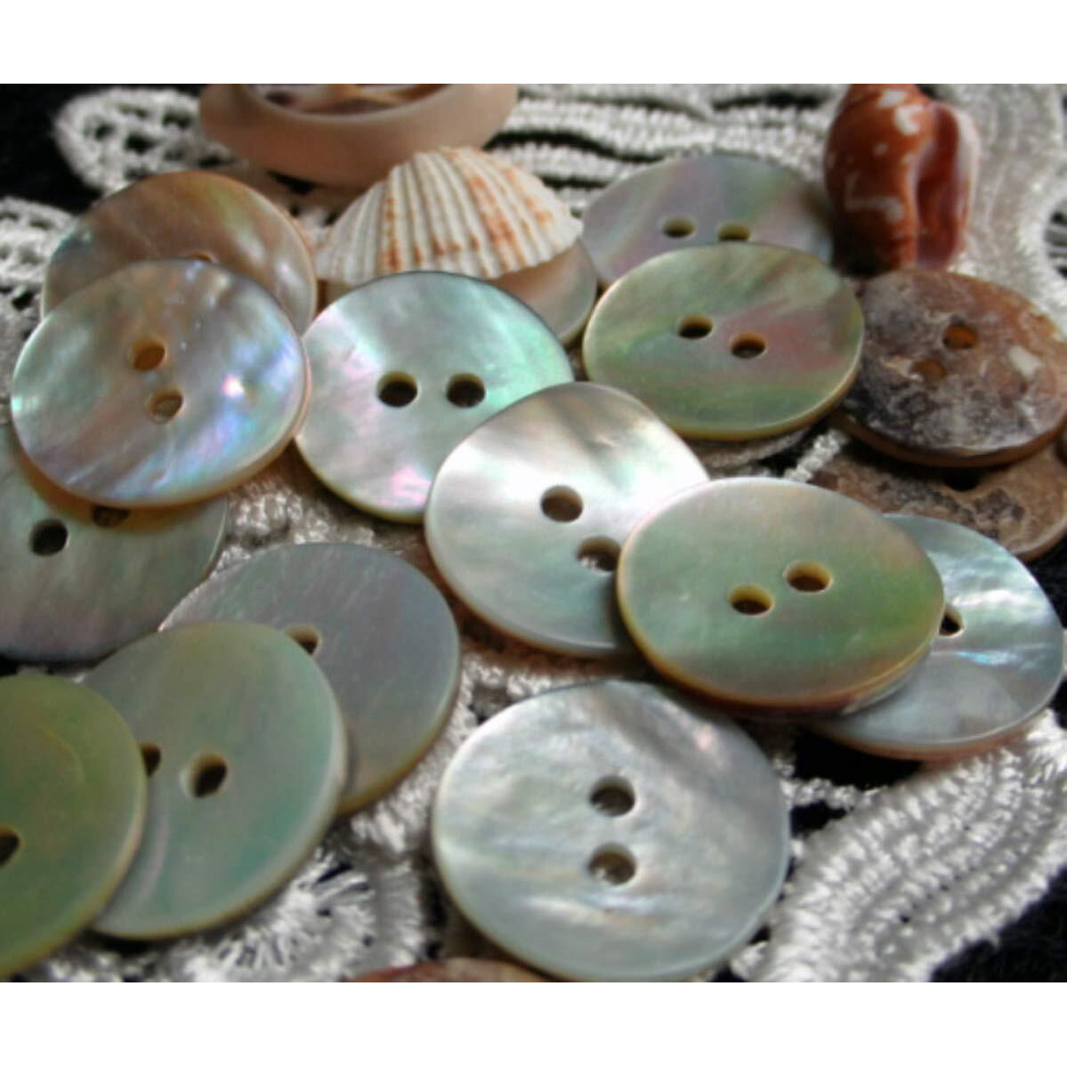 Welecom 1000 Pcs Natural Shell Buttons 10Mm 2 Hole Mother Of Pearl Round Shell Buttons For Cloth Sewing Craft Buttons
