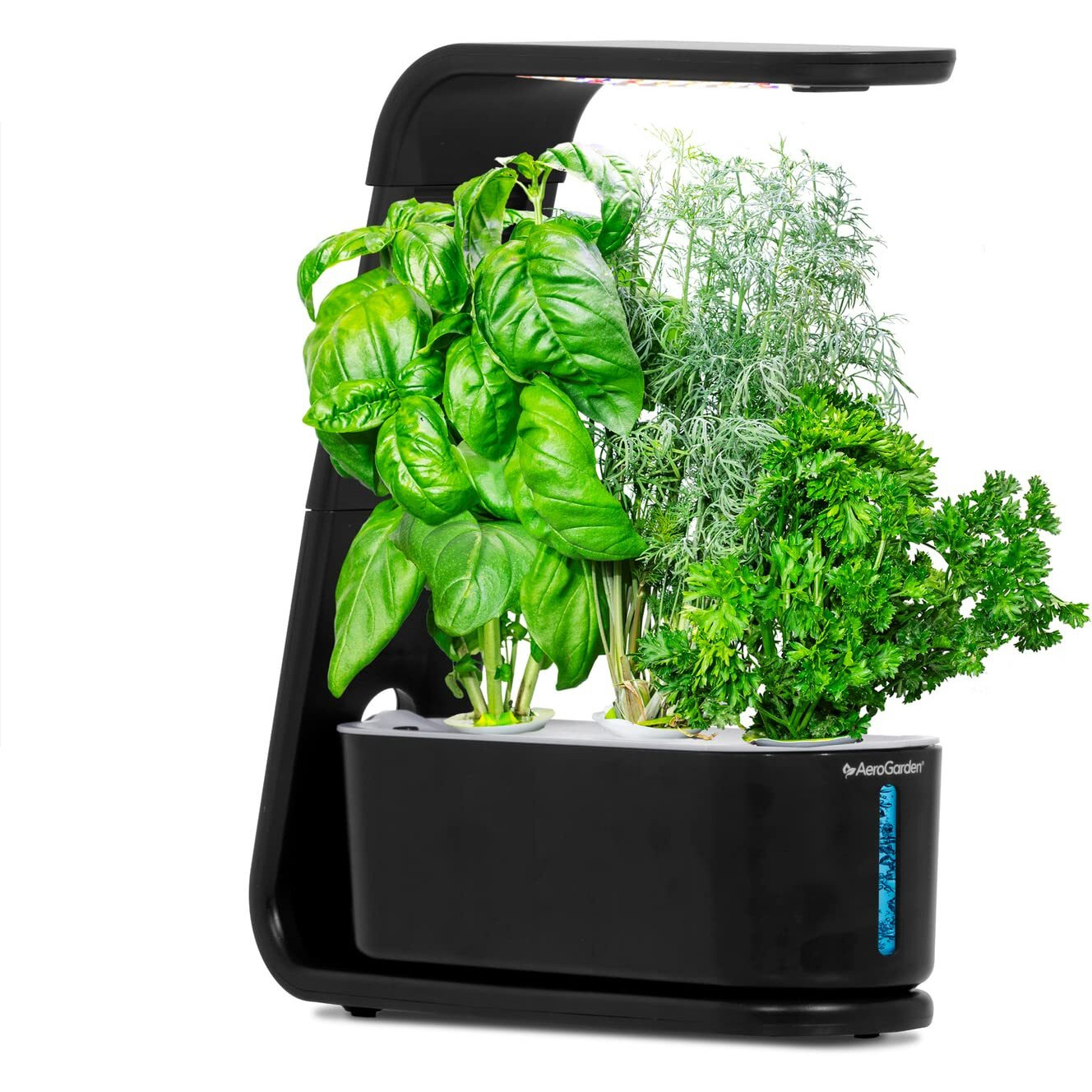Aerogarden Sprout - Indoor Garden With Led Grow Light, Black