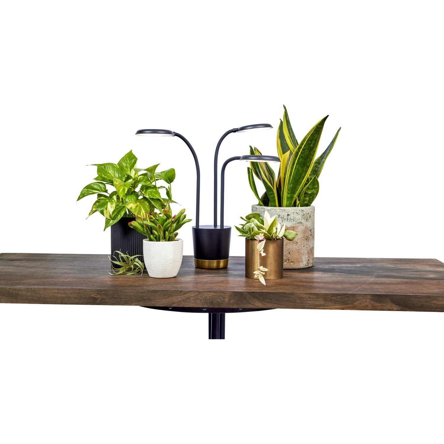 Aerogarden Trio Grow Light For Indoor Plants, Grow Live Plants Anywhere In The Home, Adjustable Light Modes, Black