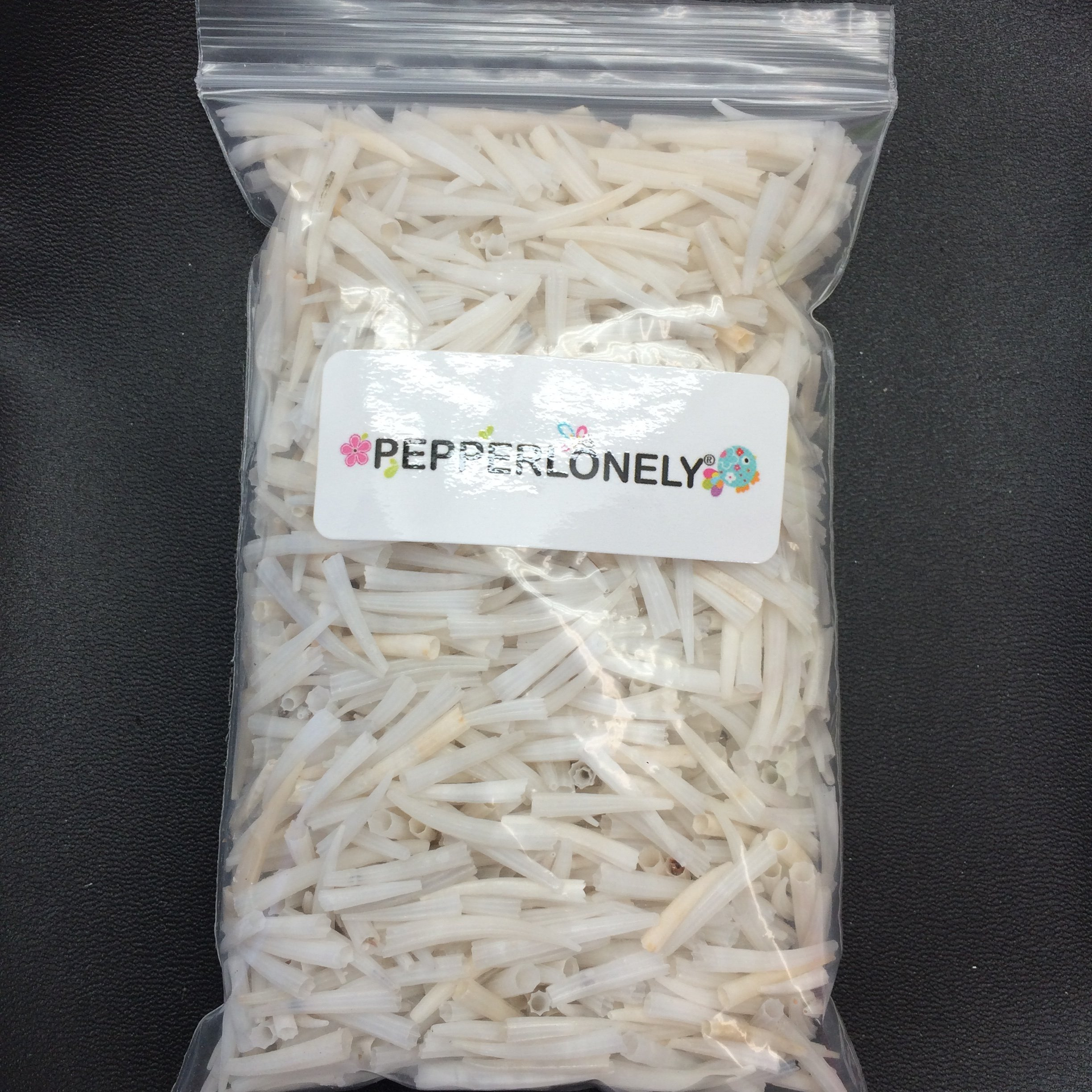 Pepperlonely Tusk Sea Shells, 6 Oz Apprx.1300+ Pc Shells, 1/2 Inch ~ 1 Inch