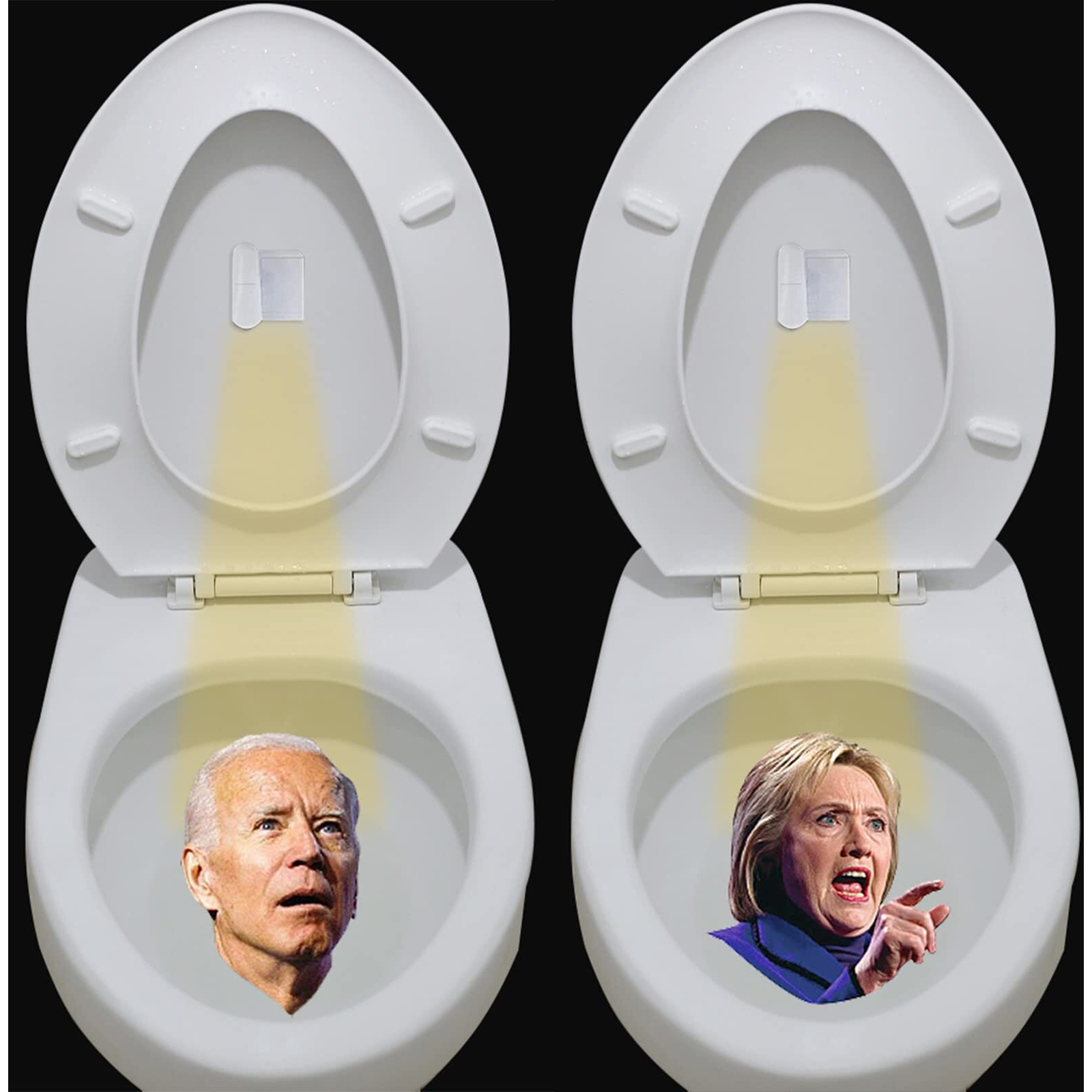 Biden Toilet Light Projector With High Definition Democratic Images, Funny Gag Gift For Adults, Men - Hilary Harris Pelosi
