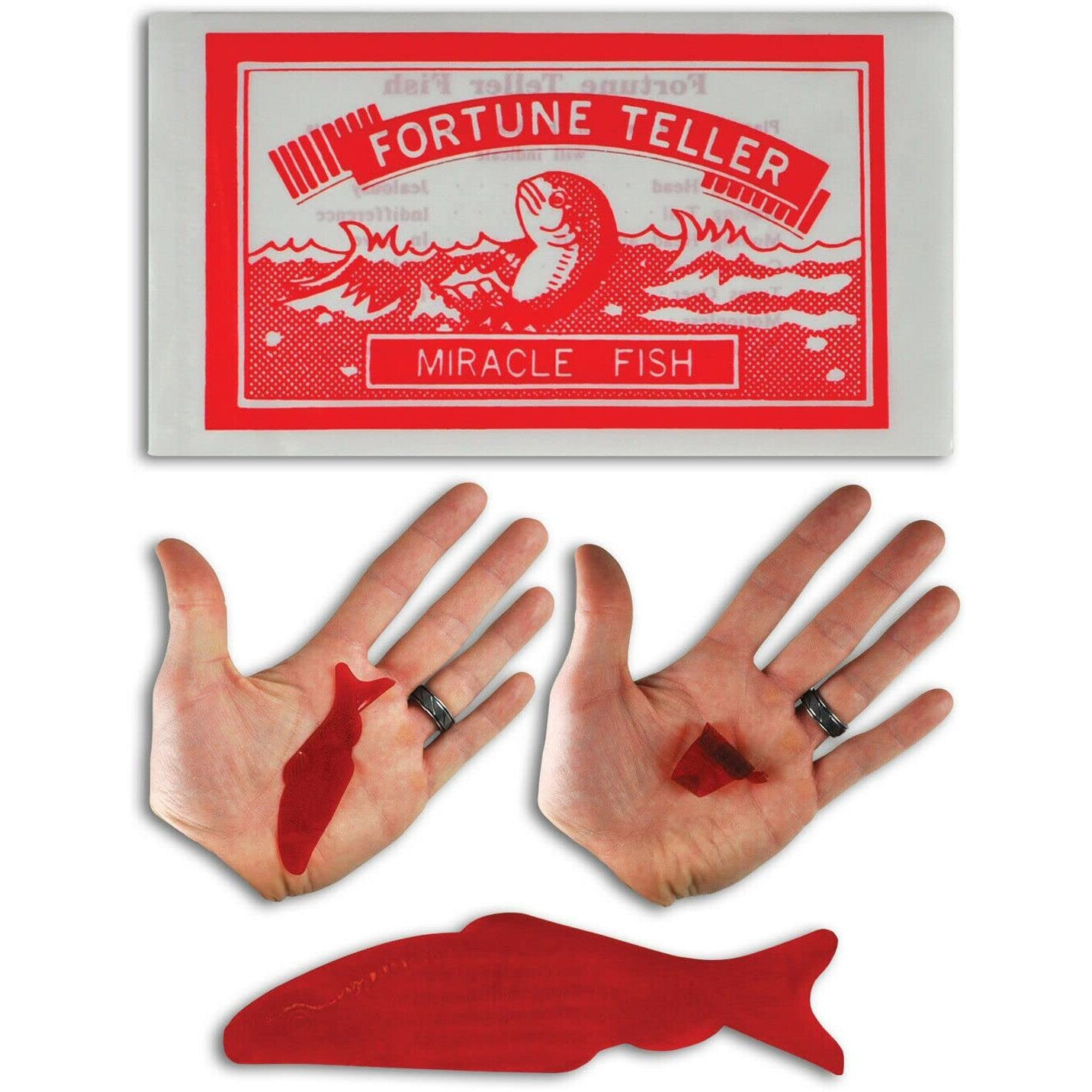 Loftus International 144 Fortune Teller Miracle Fish - Fortune Telling Fish Novelty Item