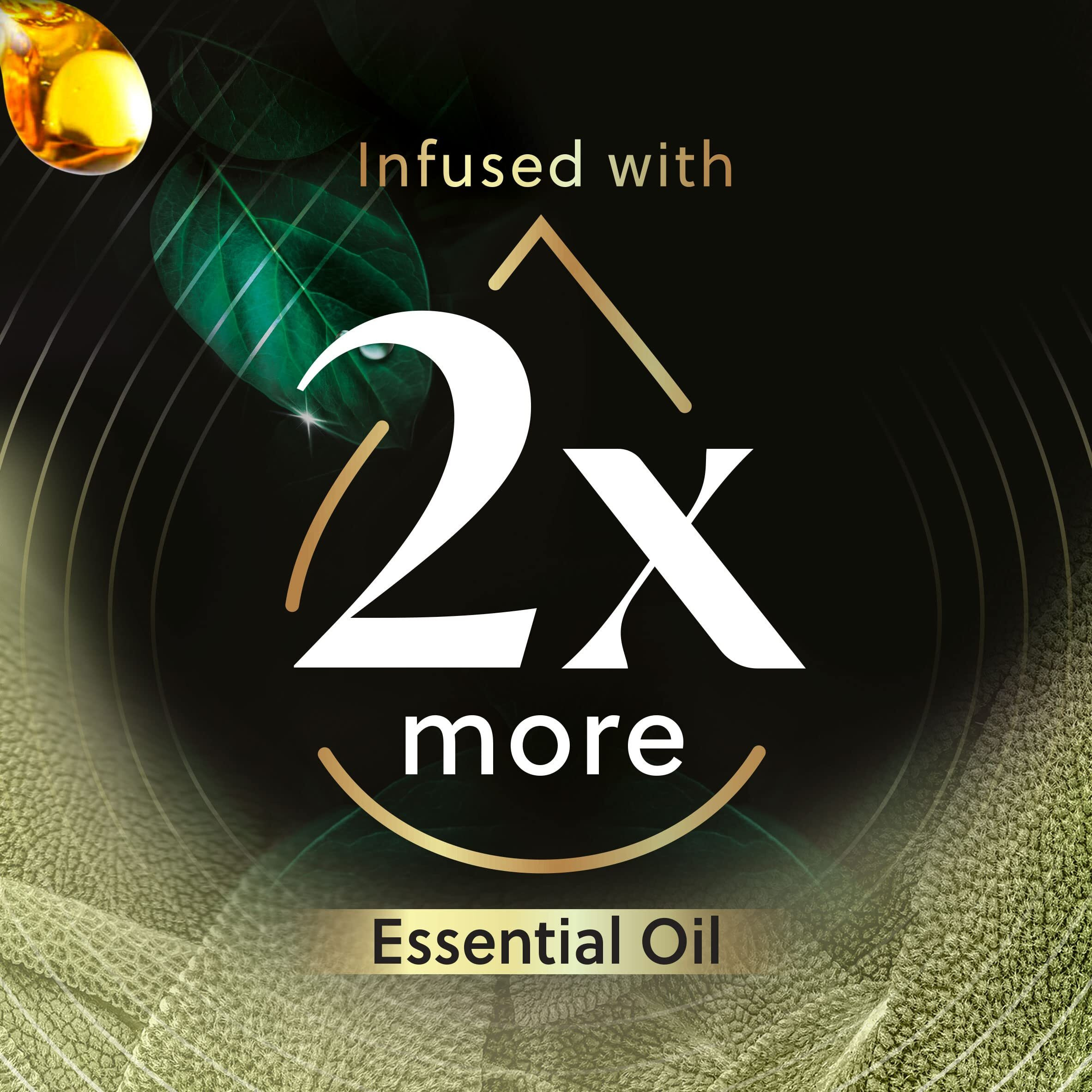 Air Wick Plug In Scented Oil Refill, 5Ct, White Sage & Mahogany, Air Freshener, Essential Oils