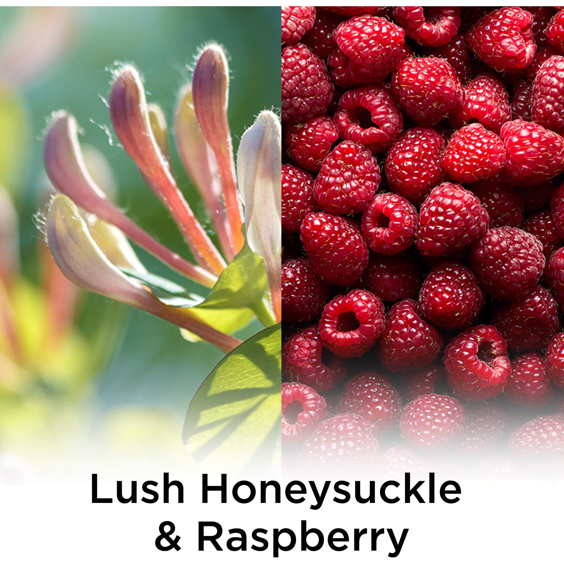 Air Wick Plug In Scented Oil Refill, 5 Ct, Lush Honeysuckle And Raspberry, Air Freshener, Essential Oils, Spring Collection