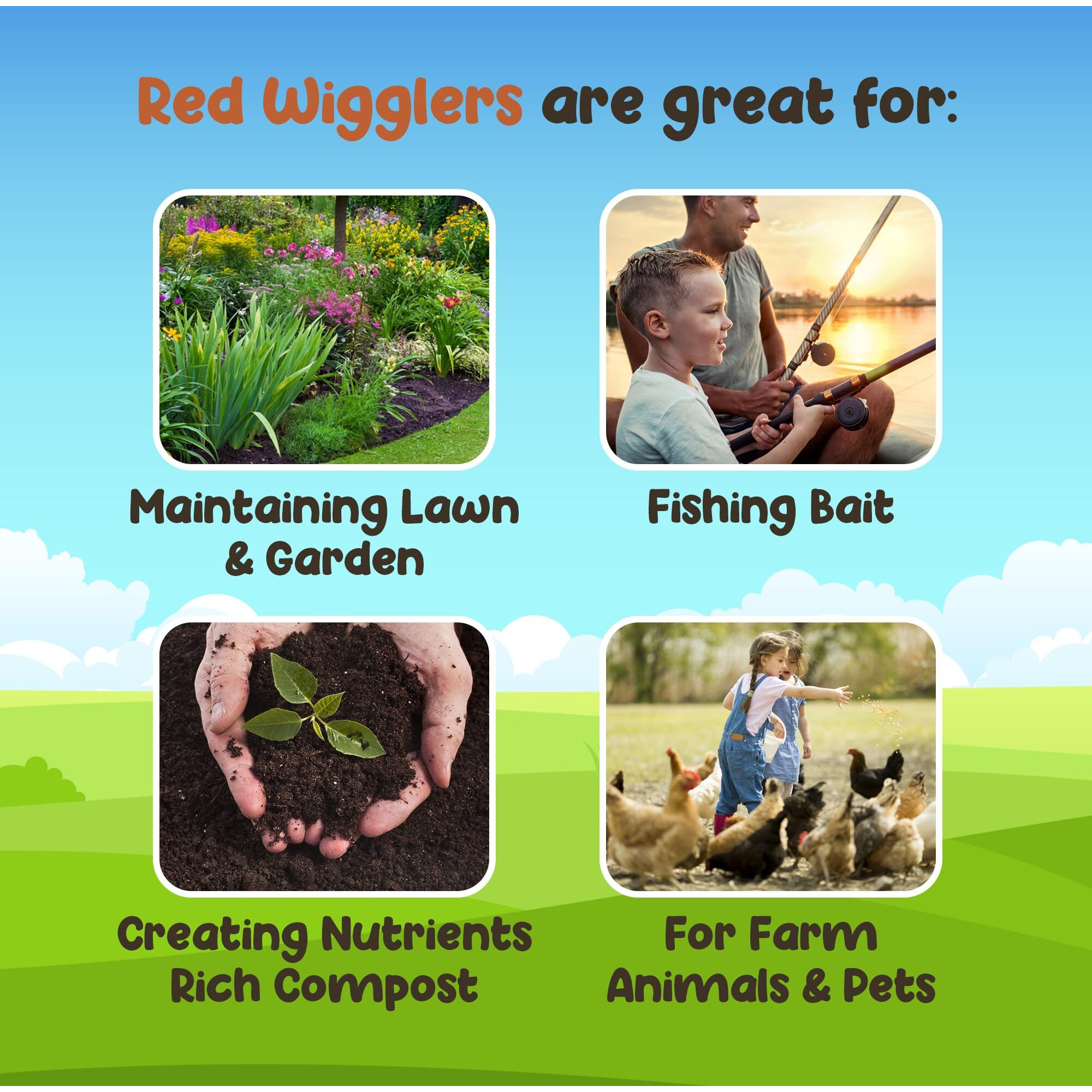 Wwjd Worms Red Wigglers Composting Worms - 2Lb (2000 Count) Red Worms For Composting Bin, Live Worms For Gardening, Live Red Wiggler Worms For Farm Soil, Fishing Worms Live Bait - Compost Worms Live