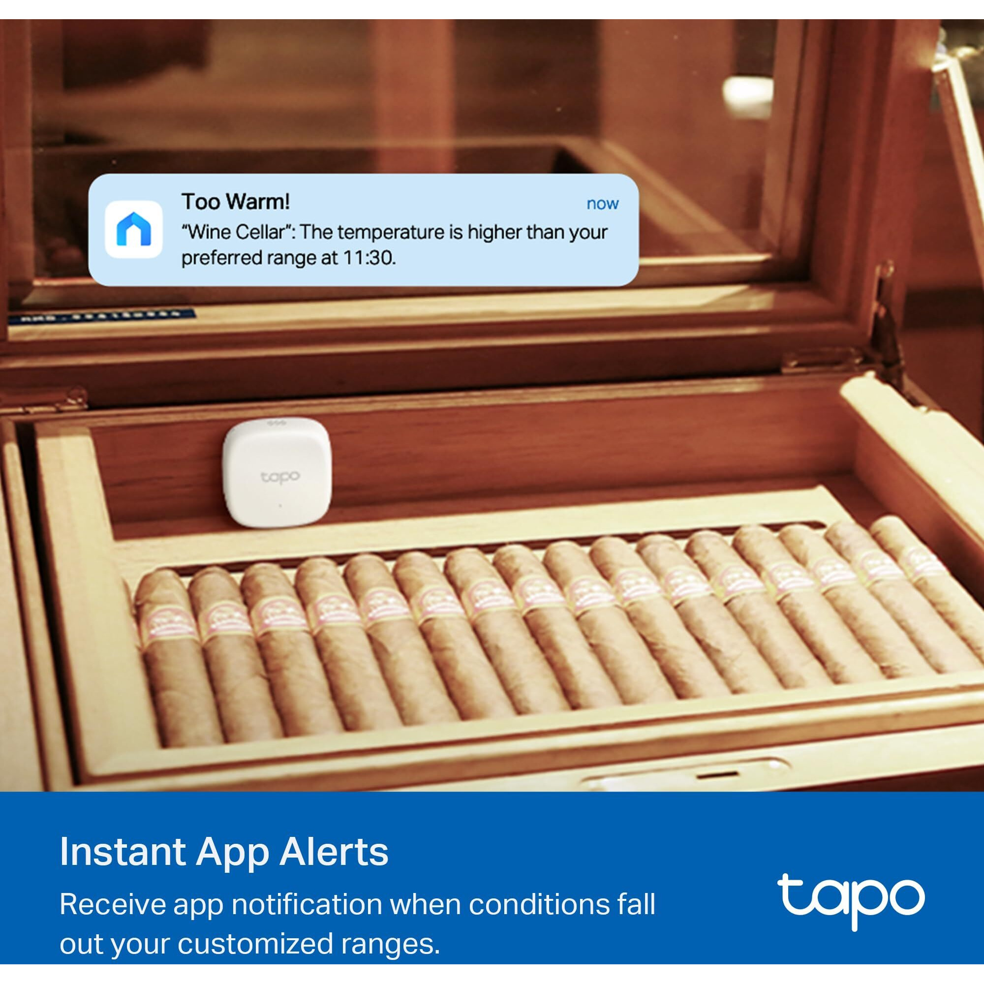 Tp-Link Tapo Smart Temperature And Humidity Sensor | Requires Tapo Hub | High-Accuracy Swiss-Made Sensor | Real-Time Notifications | Free Data Storage | Long-Lasting Performance | Tapo T310