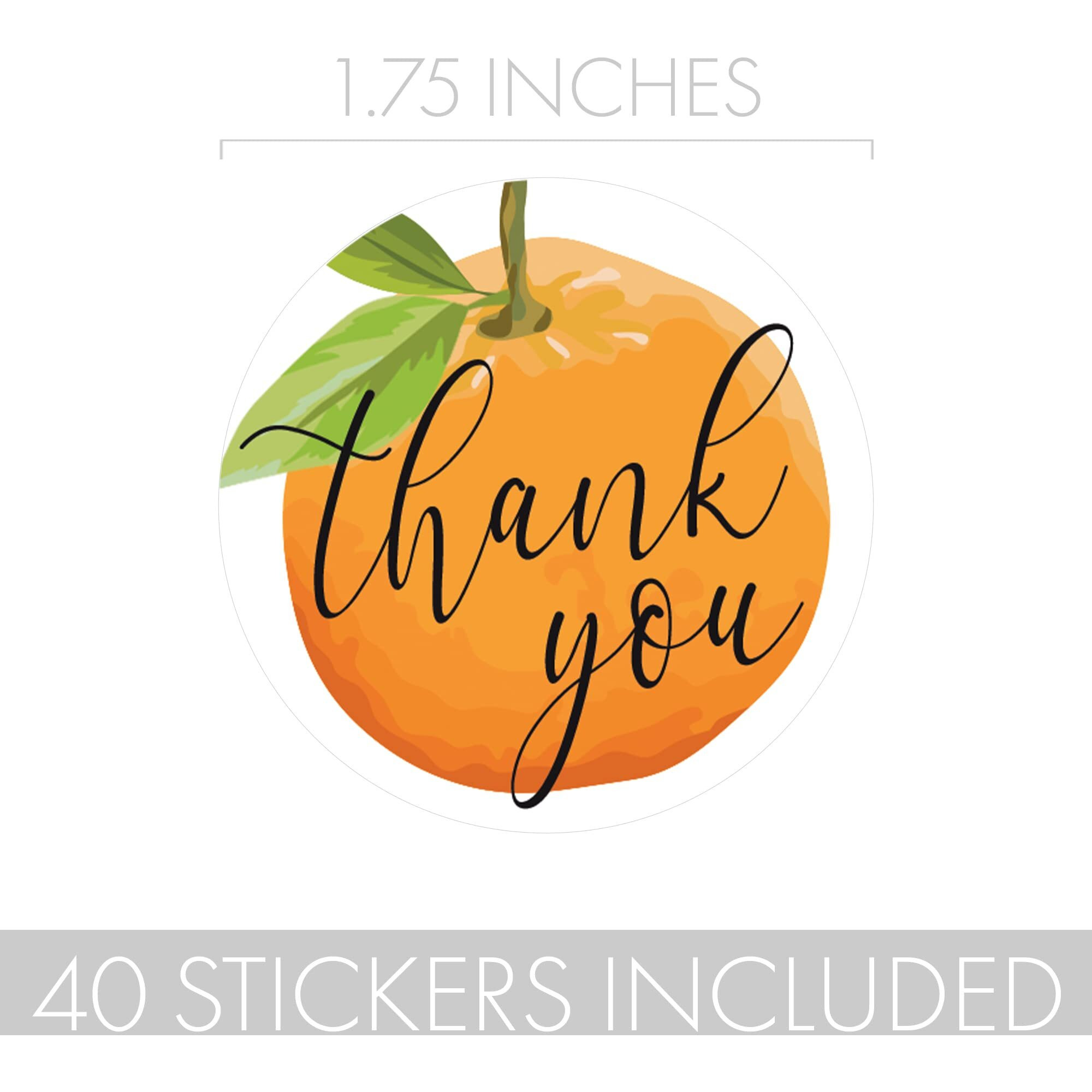 Little Cutie Baby Shower Thank You Stickers - 40 Labels