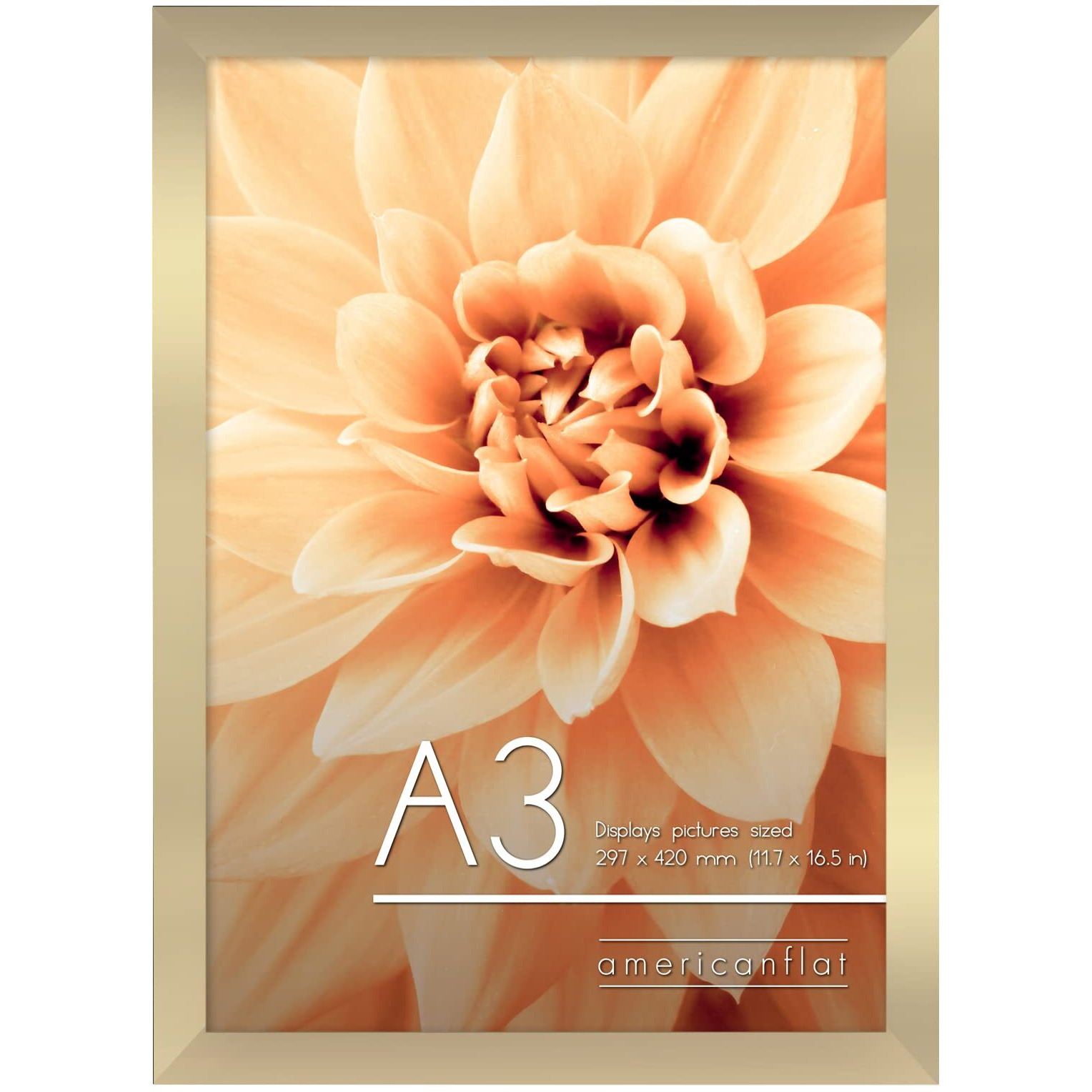 Americanflat A3 Picture Frame In Gold - Engineered Wood With Shatter-Resistant Glass - Horizontal And Vertical Formats For Wall - 11.7 X 16.5 In