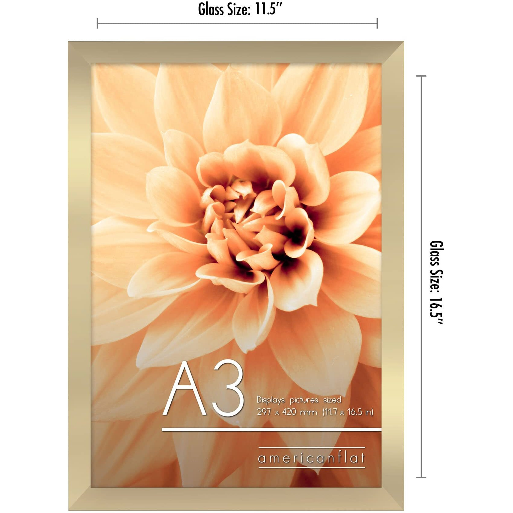 Americanflat A3 Picture Frame In Gold - Engineered Wood With Shatter-Resistant Glass - Horizontal And Vertical Formats For Wall - 11.7 X 16.5 In