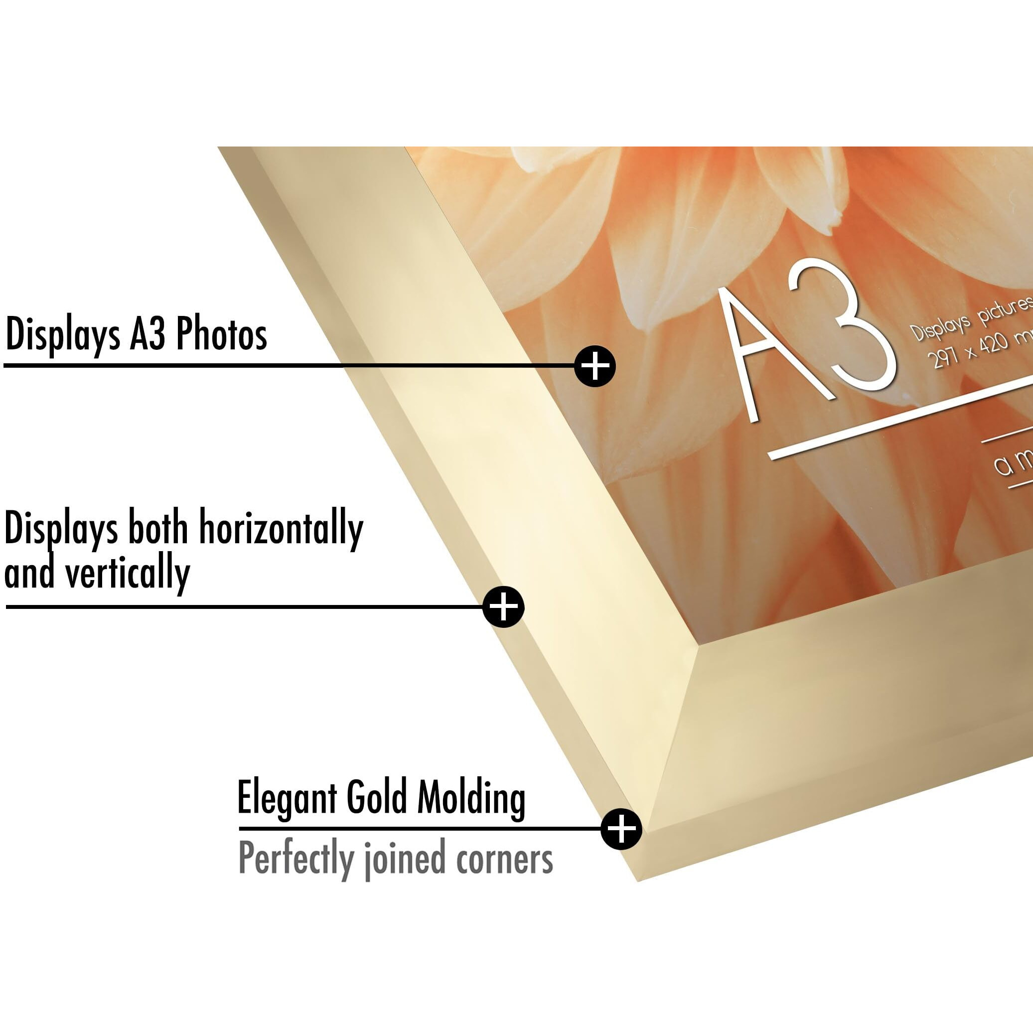 Americanflat A3 Picture Frame In Gold - Engineered Wood With Shatter-Resistant Glass - Horizontal And Vertical Formats For Wall - 11.7 X 16.5 In