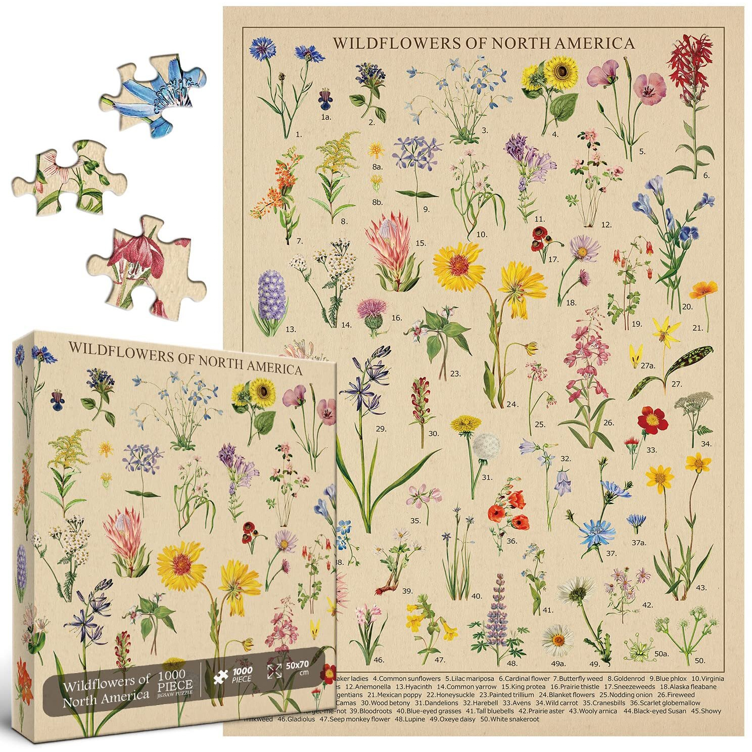 Vintage Wildflowers Puzzle 1000 Pieces For Adult, Botany Plant Flower Puzzle Of Wildflowers Of North America, Floral Jigsaw Puzzles Nature