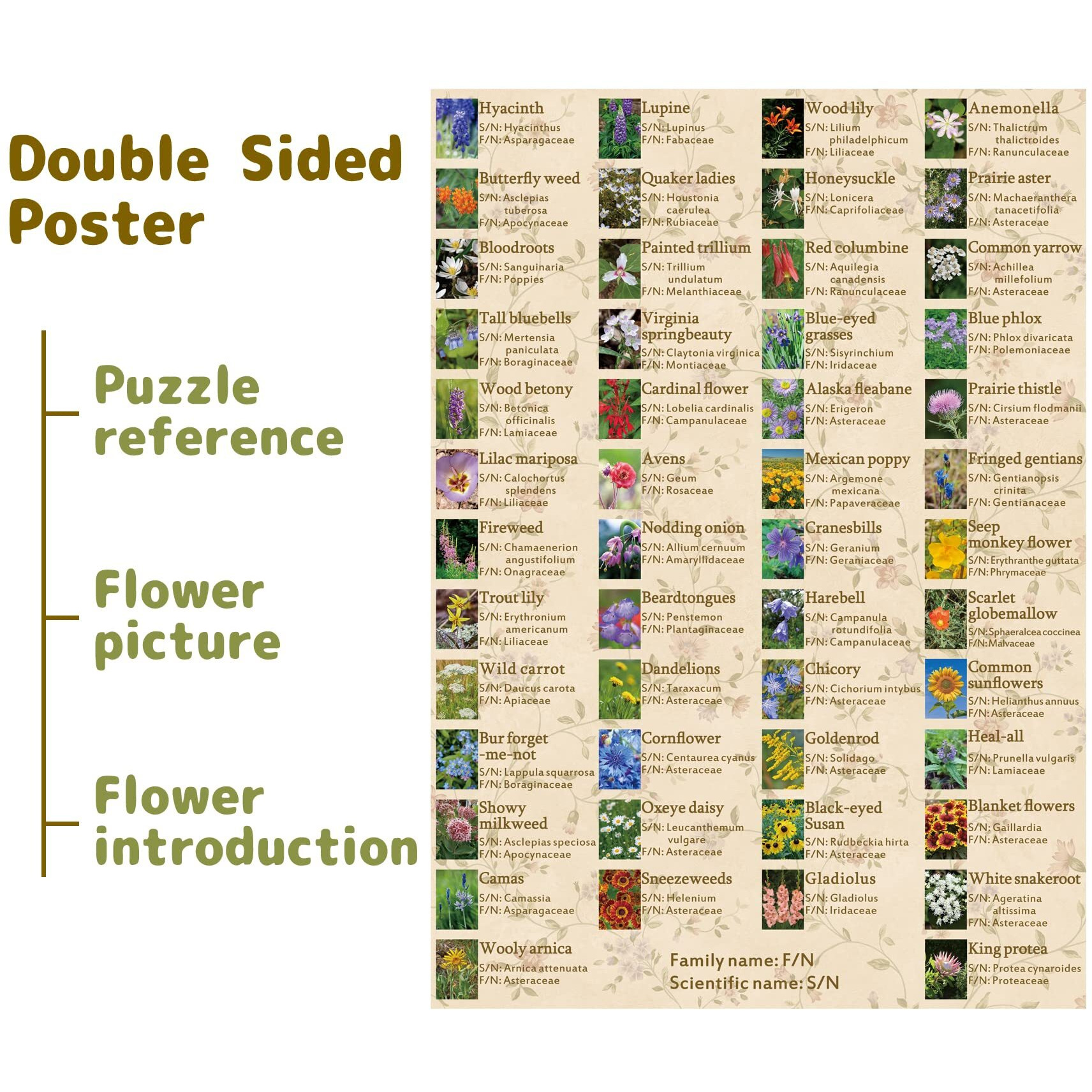 Vintage Wildflowers Puzzle 1000 Pieces For Adult, Botany Plant Flower Puzzle Of Wildflowers Of North America, Floral Jigsaw Puzzles Nature