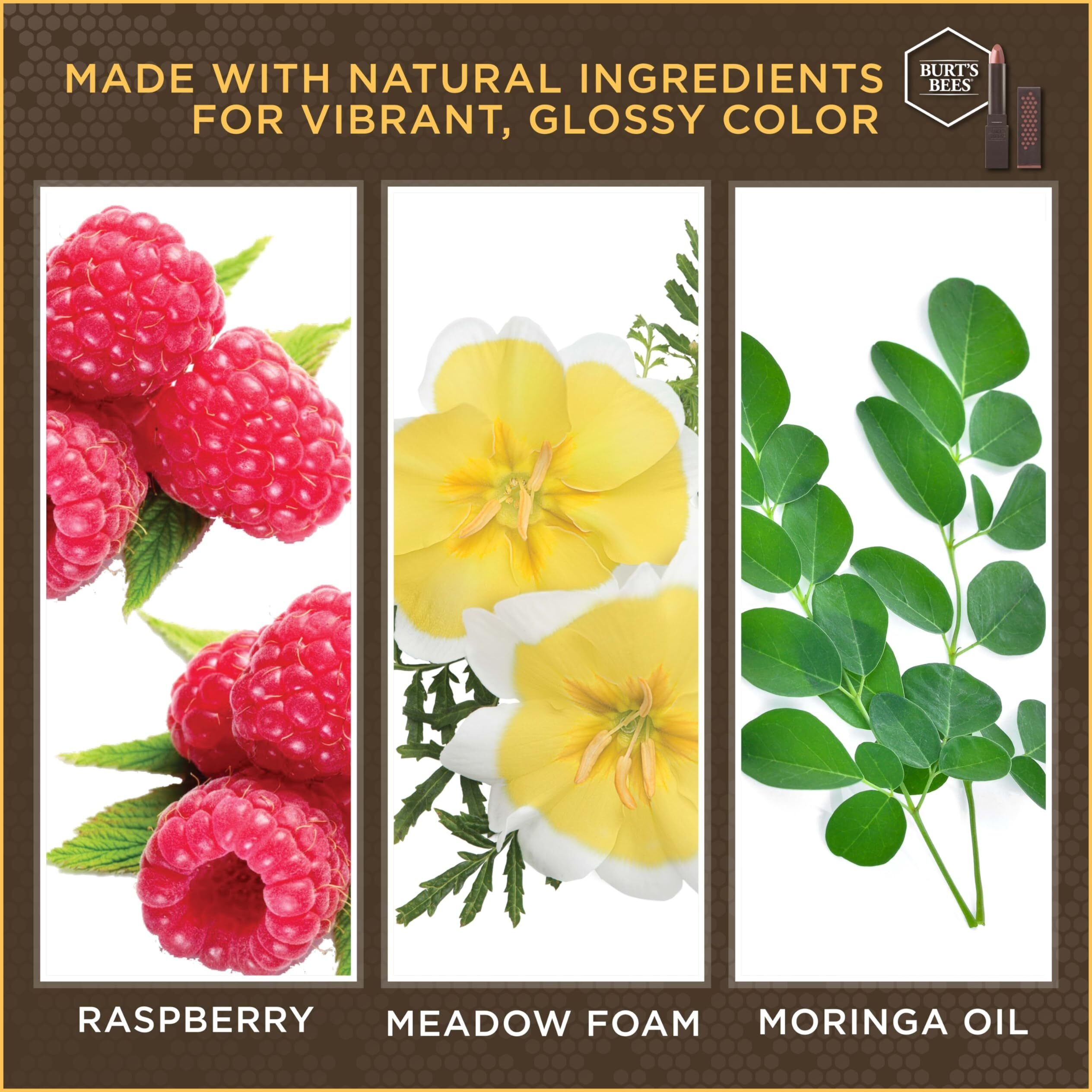 Burts Bees 100% Natural Glossy Lipstick, Nude Mist - 1 Tube