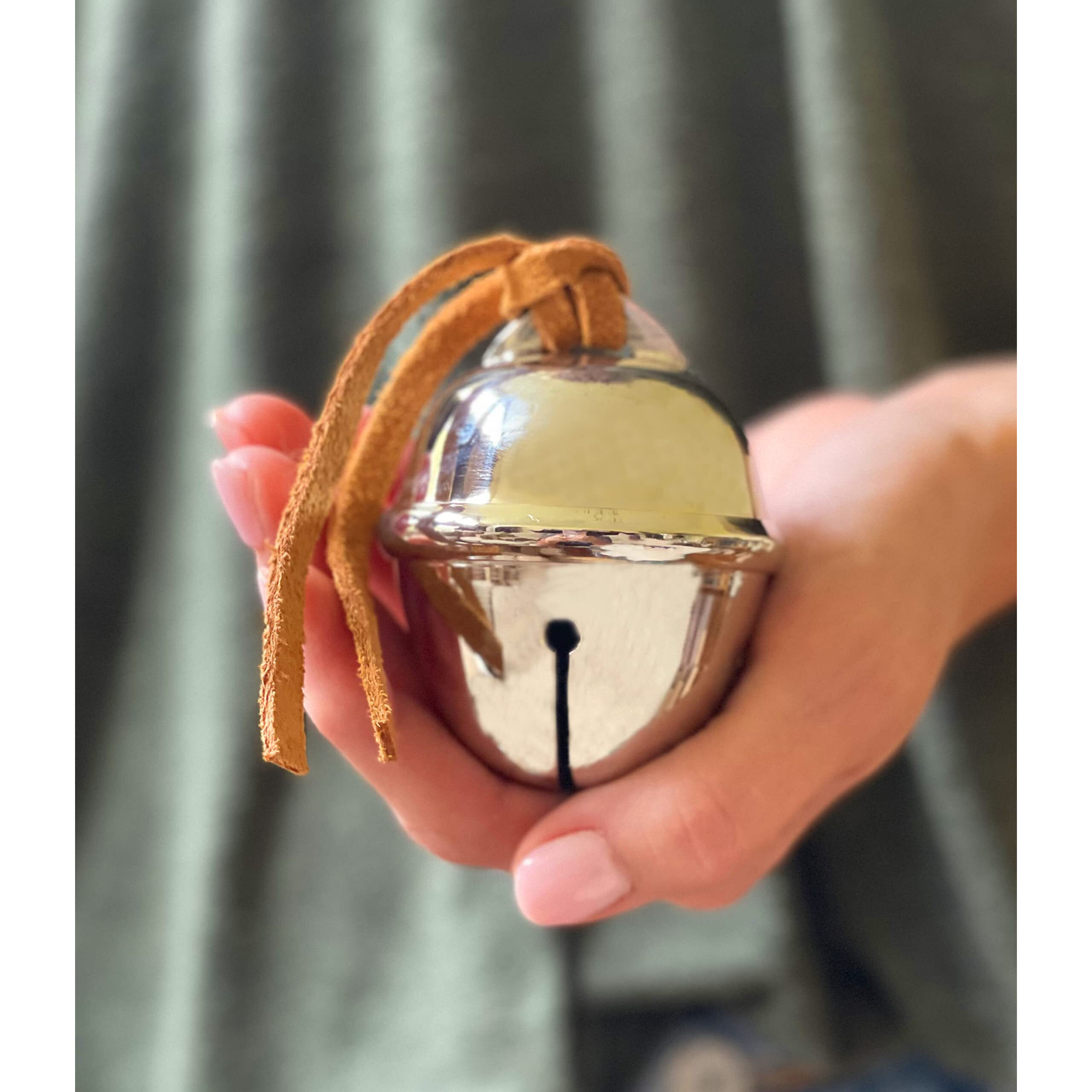 Polar Express Sleigh Bell And Certificate Of Authenticity