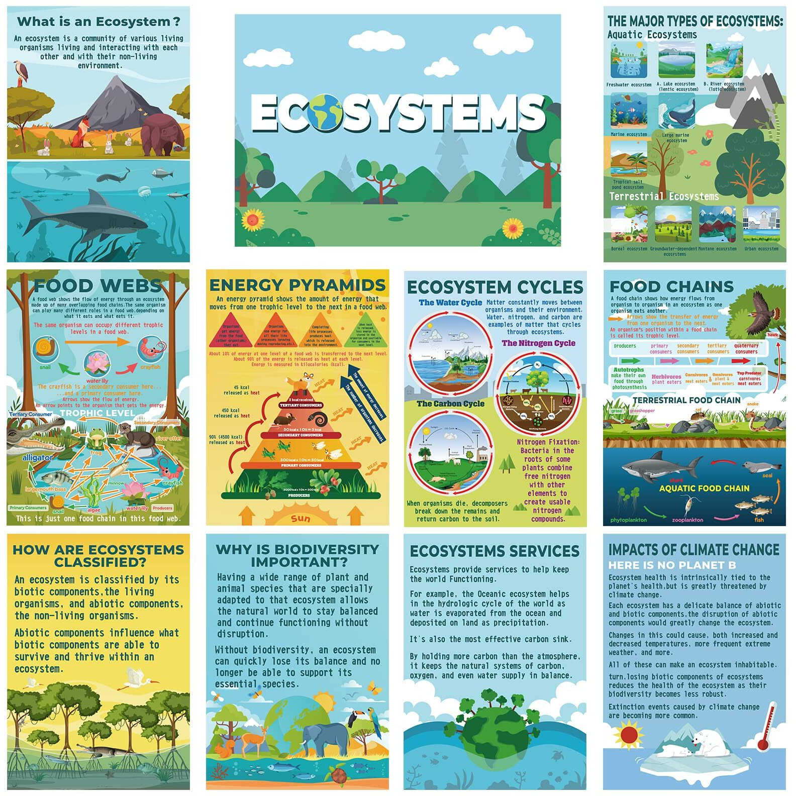 Pasimy 11 Pcs Science Posters For Classroom Ecosystems Teaching Poster Ecosystems Bulletin Board Biological Food Chain Bulletin Board For Classroom Decoration Teacher Middle High School Library Home