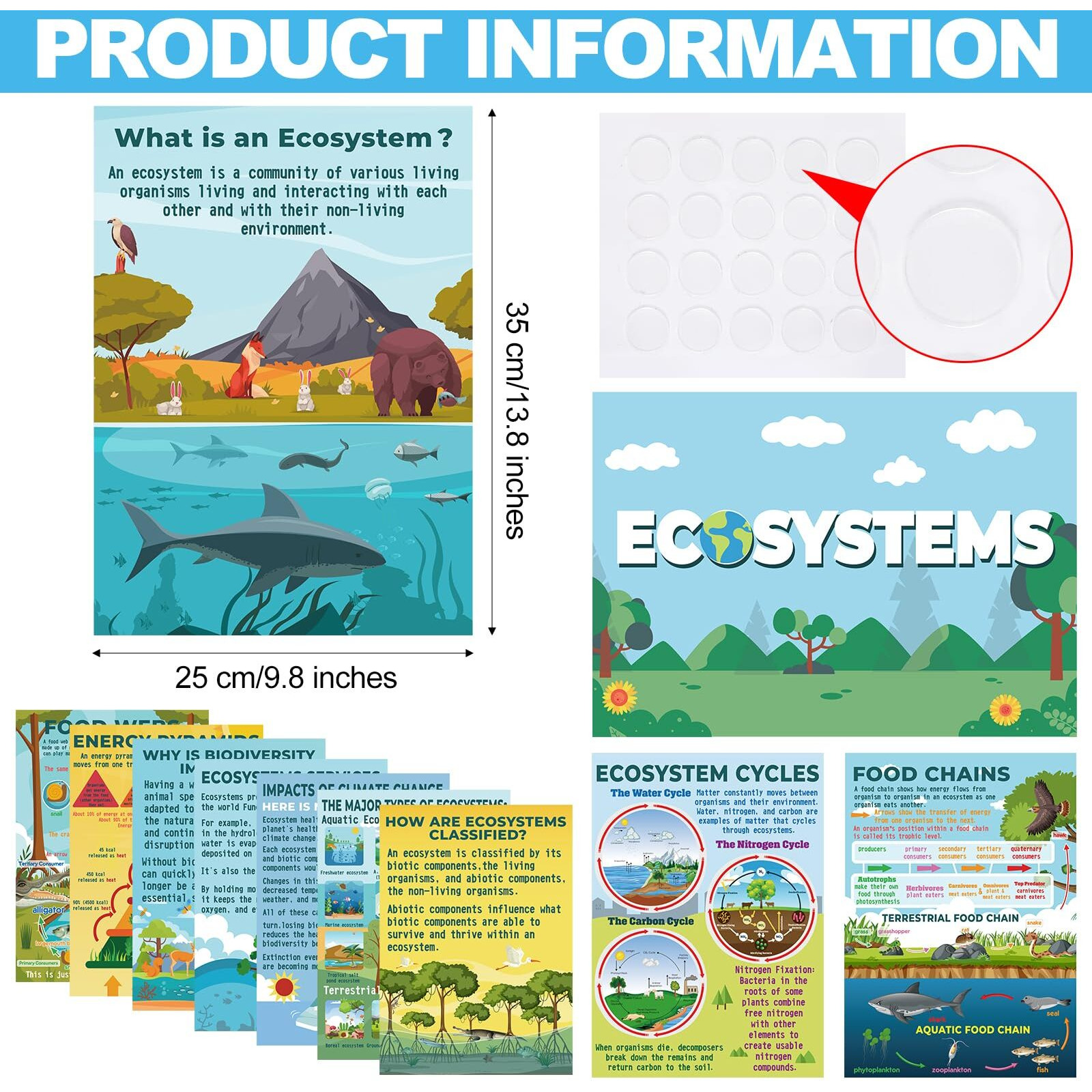 Pasimy 11 Pcs Science Posters For Classroom Ecosystems Teaching Poster Ecosystems Bulletin Board Biological Food Chain Bulletin Board For Classroom Decoration Teacher Middle High School Library Home