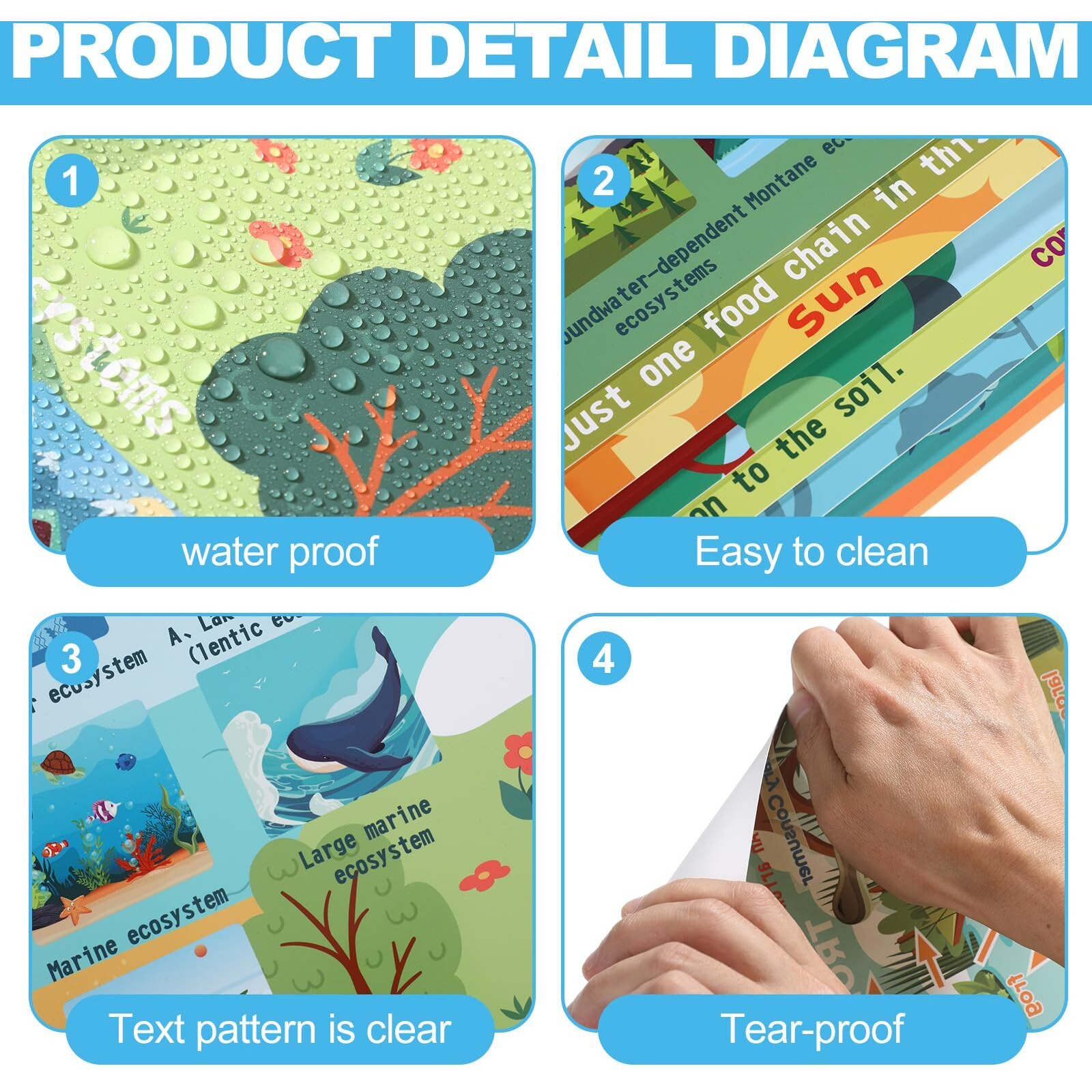 Pasimy 11 Pcs Science Posters For Classroom Ecosystems Teaching Poster Ecosystems Bulletin Board Biological Food Chain Bulletin Board For Classroom Decoration Teacher Middle High School Library Home