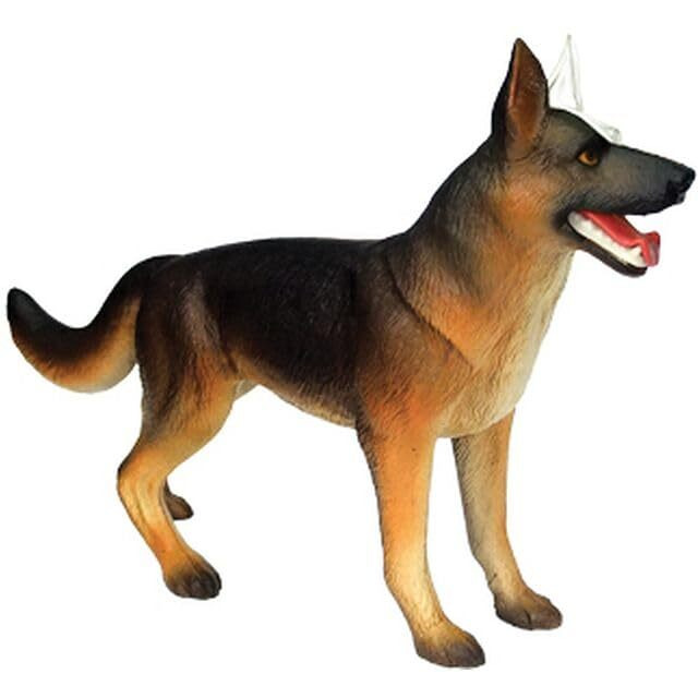 Tedco 4D Vision Dog Anatomy Model