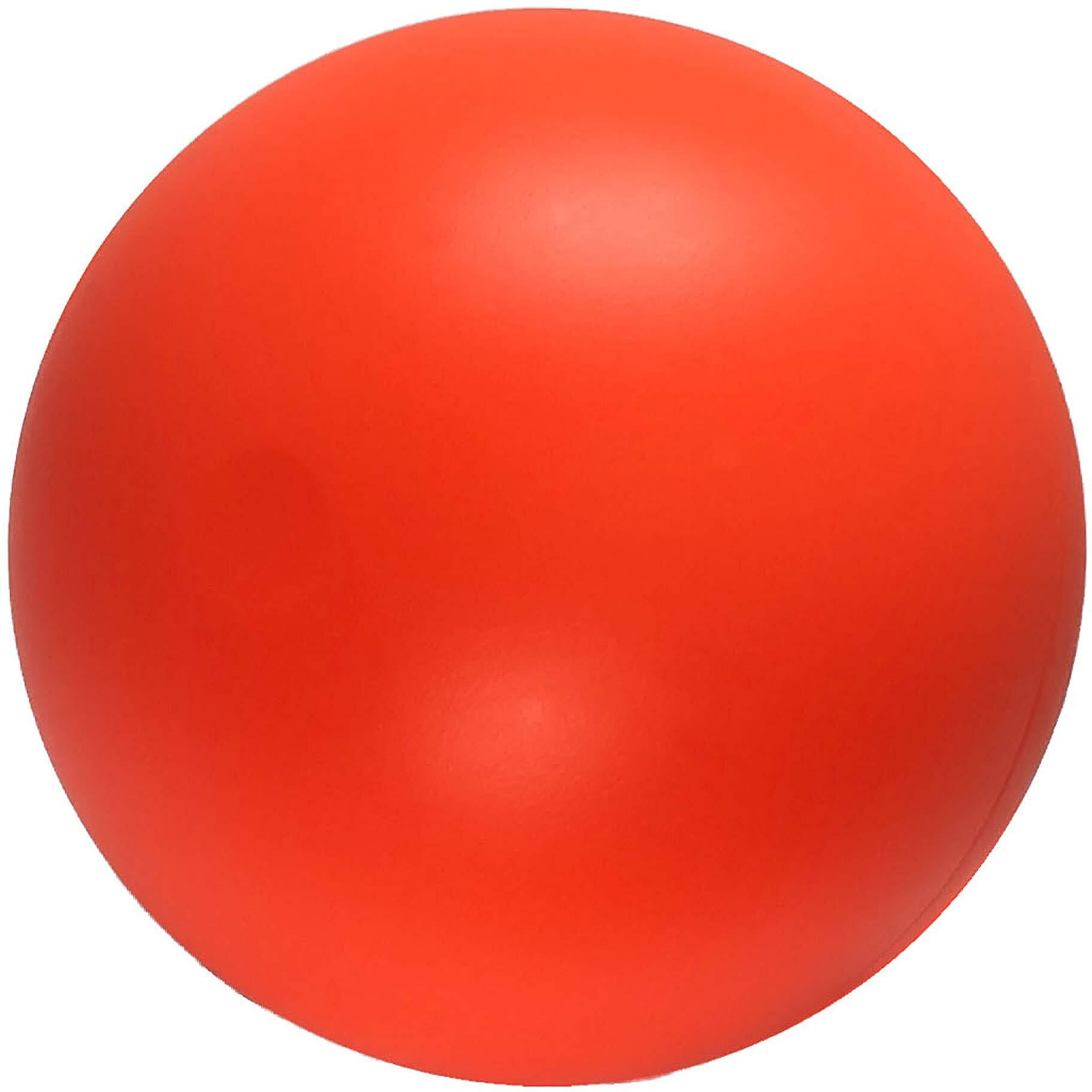 Doggie Dooley B00Cit99Bc Virtually Indestructible Best Ball (Hard Plastic, Colors May Vary), All Breed Sizes , 14 Inch