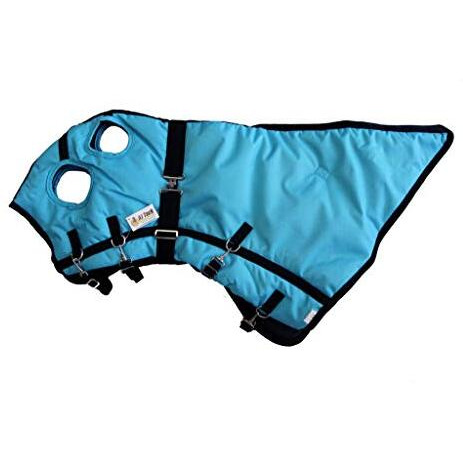 Aj Tack Wholesale Winter Horse Blanket Rug Hood 1200D Heavy Weight Water Proof Turquoise Medium