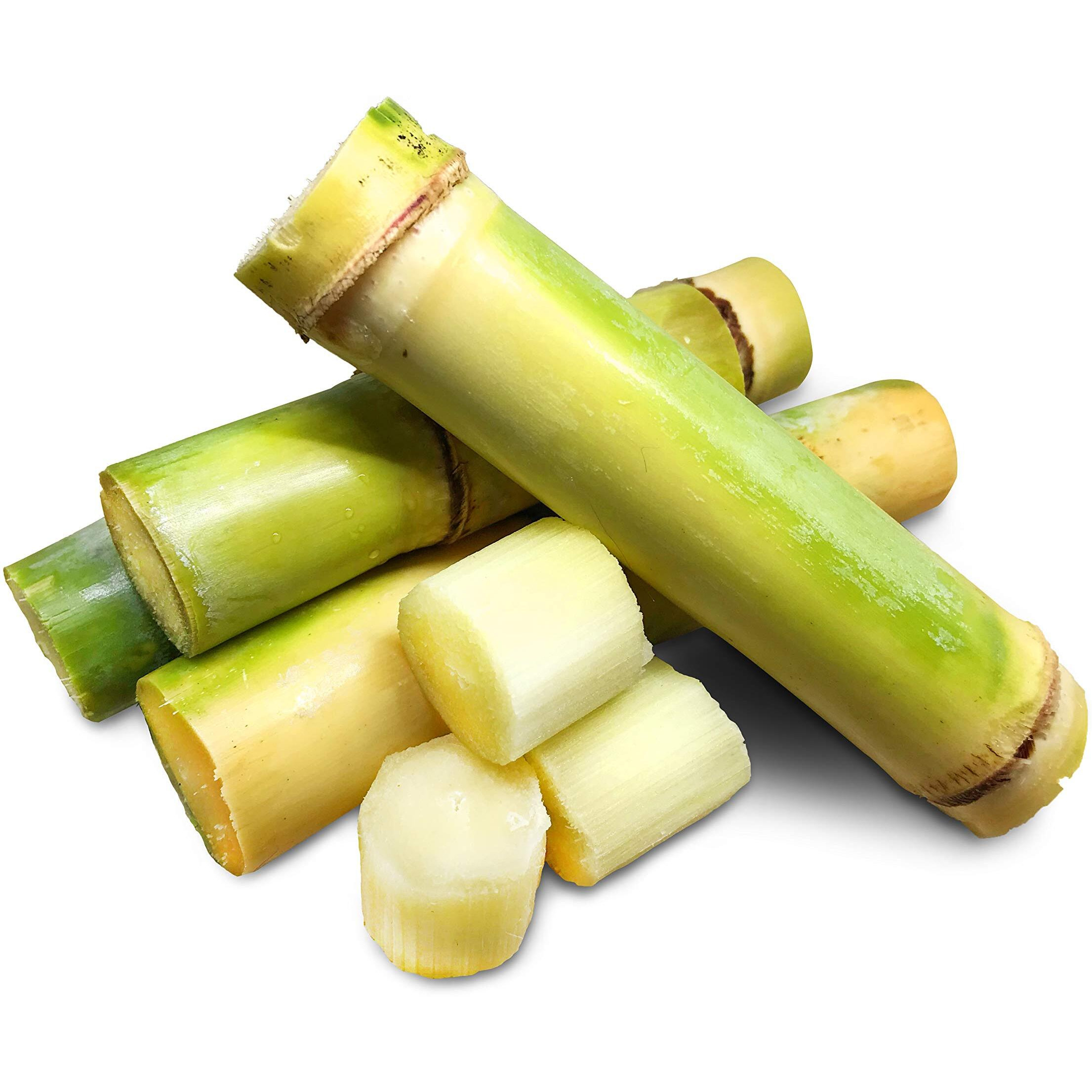Fresh Sugar Cane (15Lb)