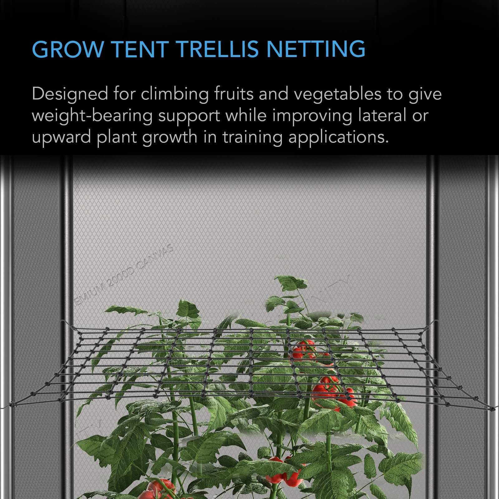 Ac Infinity Grow Tent Trellis Netting 2X2', Heavy-Duty Elastic Plant Net With Steel Hooks, Flexible Hydroponics Support For Grow Tents, Gardening, And Horticulture