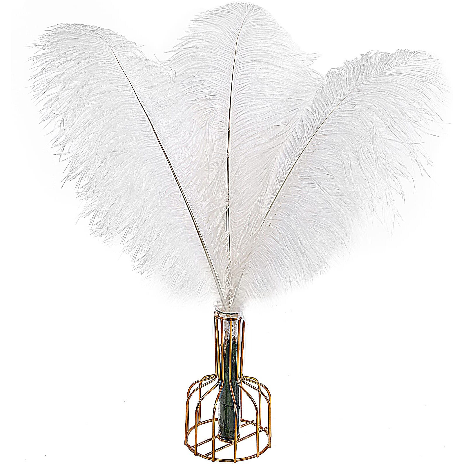 Tharaht 12Pcs White Ostrich Feathers Natural Bulk 16-18Inch 40Cm-45Cm For Wedding Party Centerpieces Easter Gatsby And Home Decorate Ostrich Feathers