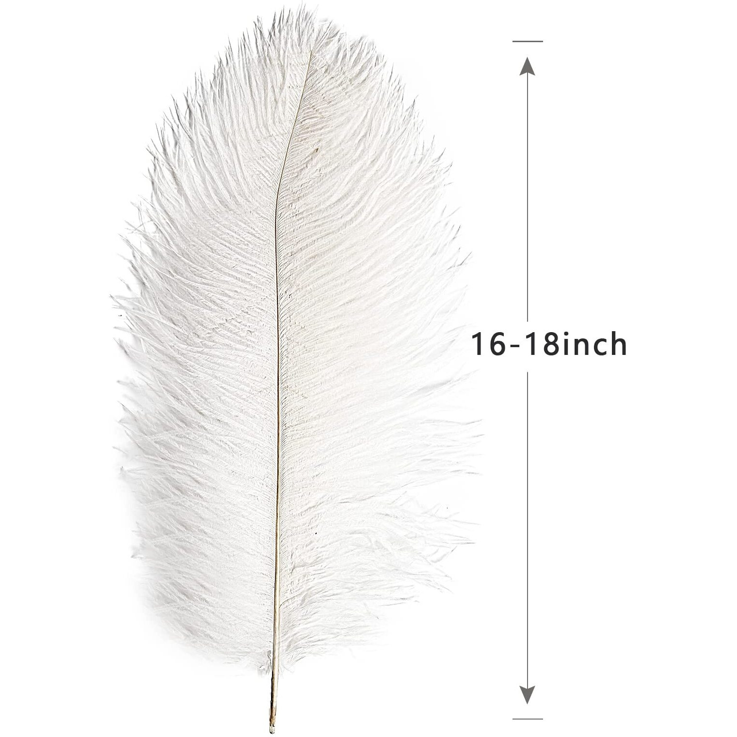 Tharaht 12Pcs White Ostrich Feathers Natural Bulk 16-18Inch 40Cm-45Cm For Wedding Party Centerpieces Easter Gatsby And Home Decorate Ostrich Feathers