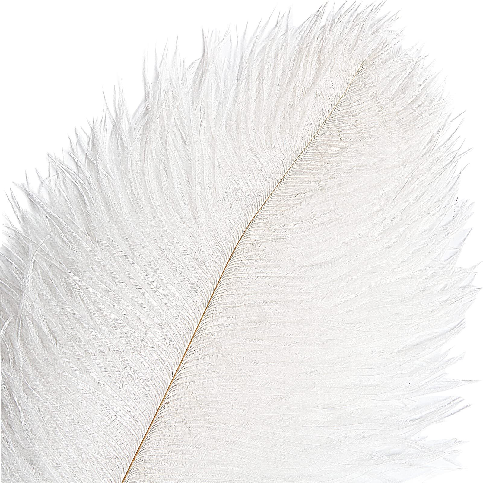 Tharaht 12Pcs White Ostrich Feathers Natural Bulk 16-18Inch 40Cm-45Cm For Wedding Party Centerpieces Easter Gatsby And Home Decorate Ostrich Feathers