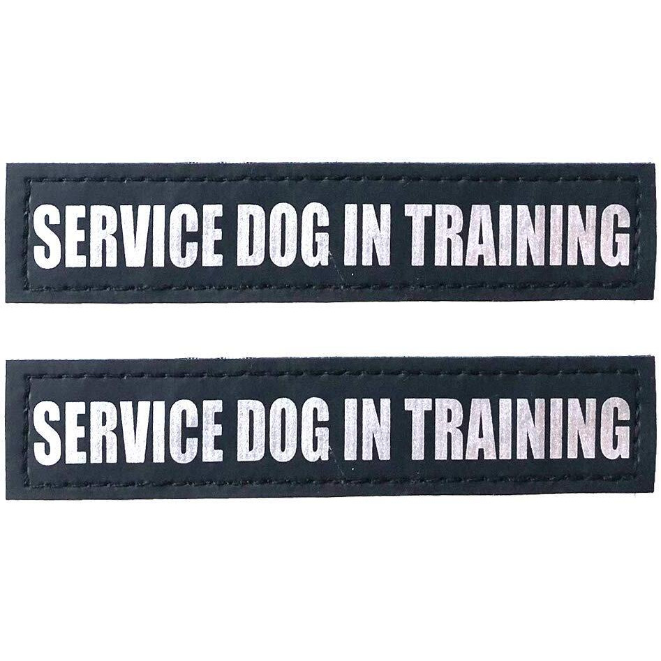 Albcorp Reflective Service Dog In Training Patches With Hook And Loop Backing For Service Animal Vests /Harnesses Xxs Or Extra Small (3.5 X 1) Inch