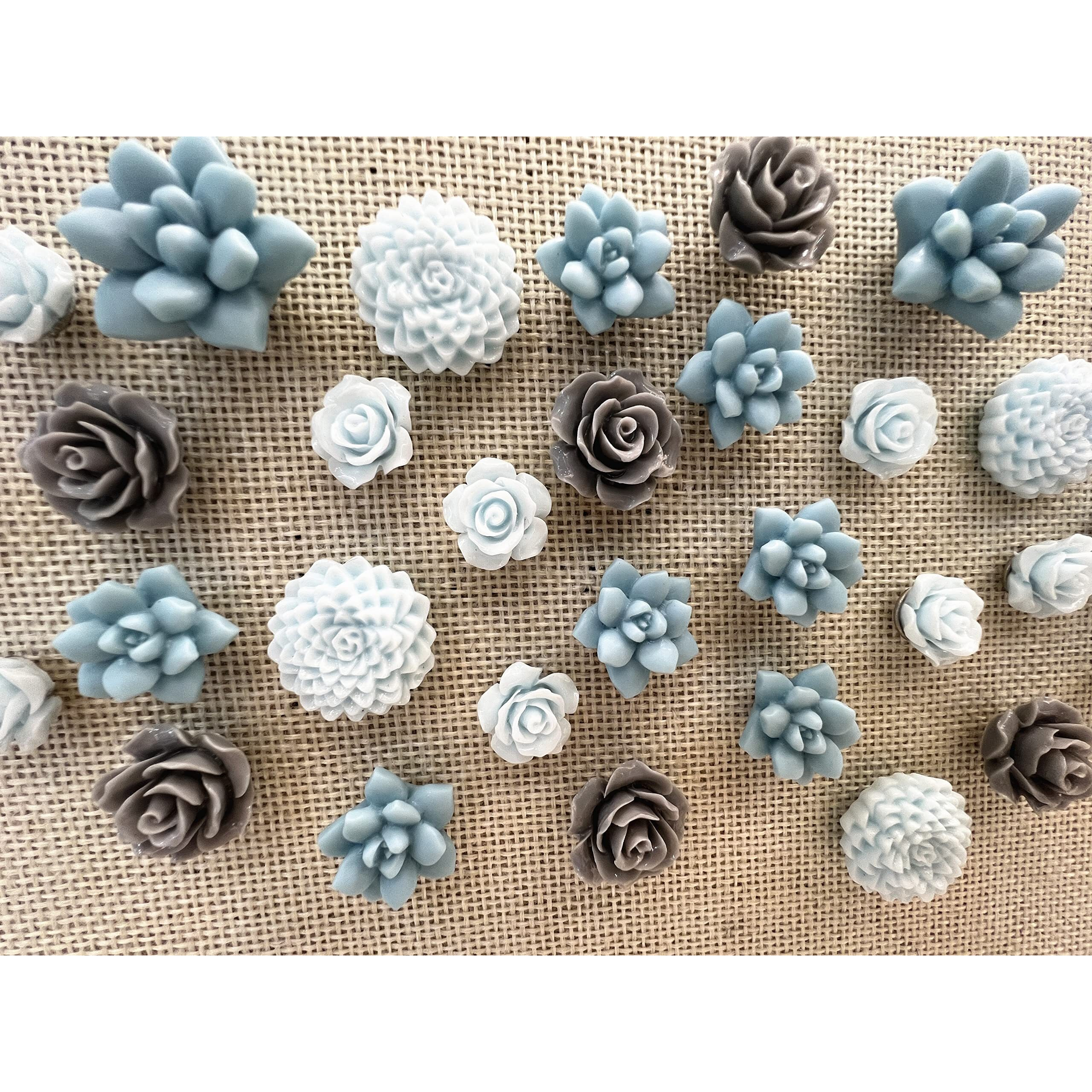 24 Pcs Decorative Pushpins,Cork Board Tacks,Bulletin Board Tacks,Thumb Tack Decorative For Corkboard, Office Organization Or Home