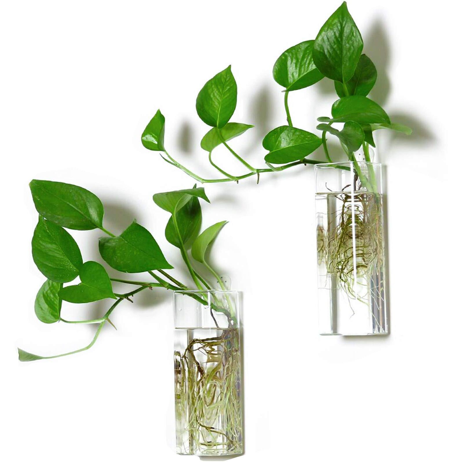 Kingbuy Wall Hanging Glass Planters Plant Terrarium For Home Decor, Square Vase, 2 Pack