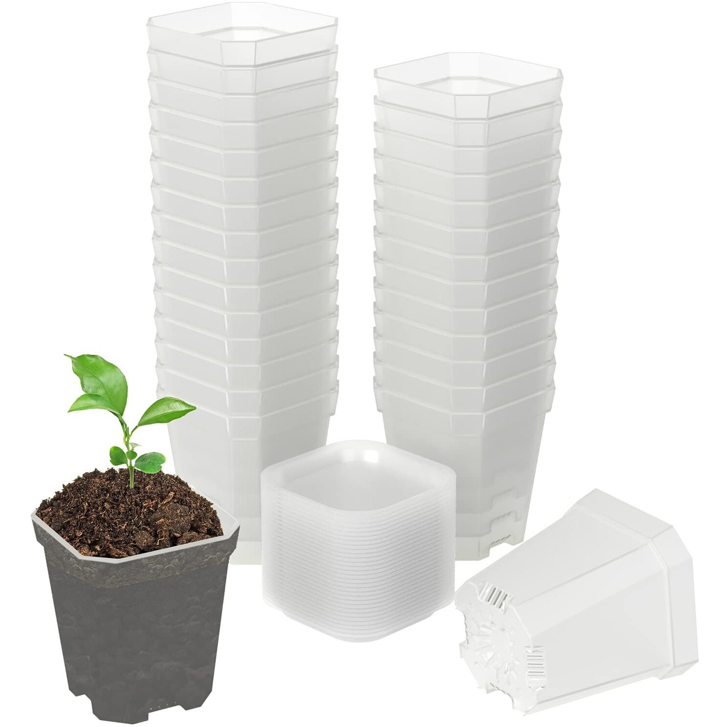 Foxany 3" Clear Nursery Pots, 30 Pcs Thick Plastic Plant Pots, Square Flower Planting Pots, Seedling Planter Seed Starter Pots With Saucers