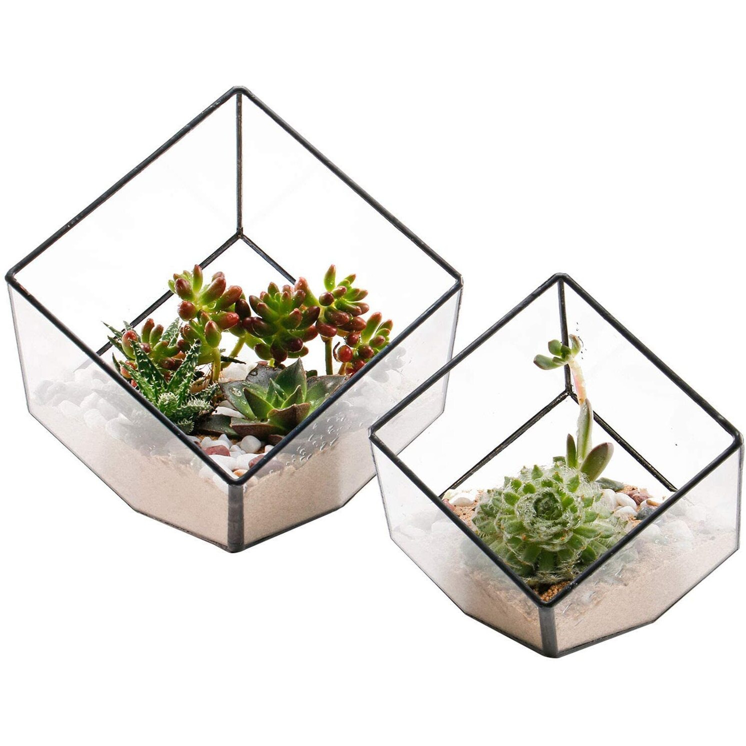 Elegantlife Glass Geometric Plant Terrarium Container, Flower Pot Tabletop Planter Decor Glass Display Box Succulent & Air Planter For Home Garden Office Decoration(Black Cubic Set Of 2)