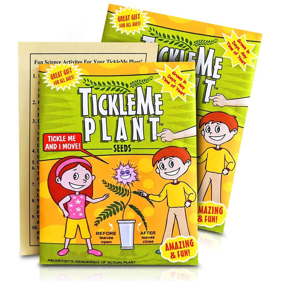 Tickleme Plant Seeds Pack (2) - Fun Party Favor, Leaves Fold When Touched Easy To Grow Indoors, Can Flower, Includes 10 Activities, Reopens In Minutes - Perfect For Valentine's Day
